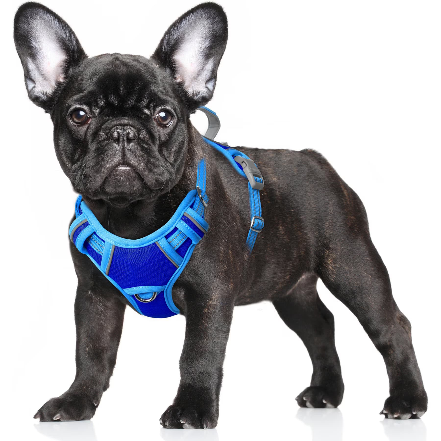 BARKBAY Air Reflective No-Pull Dog Harness with ID Tag Pocket, Sapphire Blue & Blue, X-Small: 15.5 to 19.5-in chest — view 2