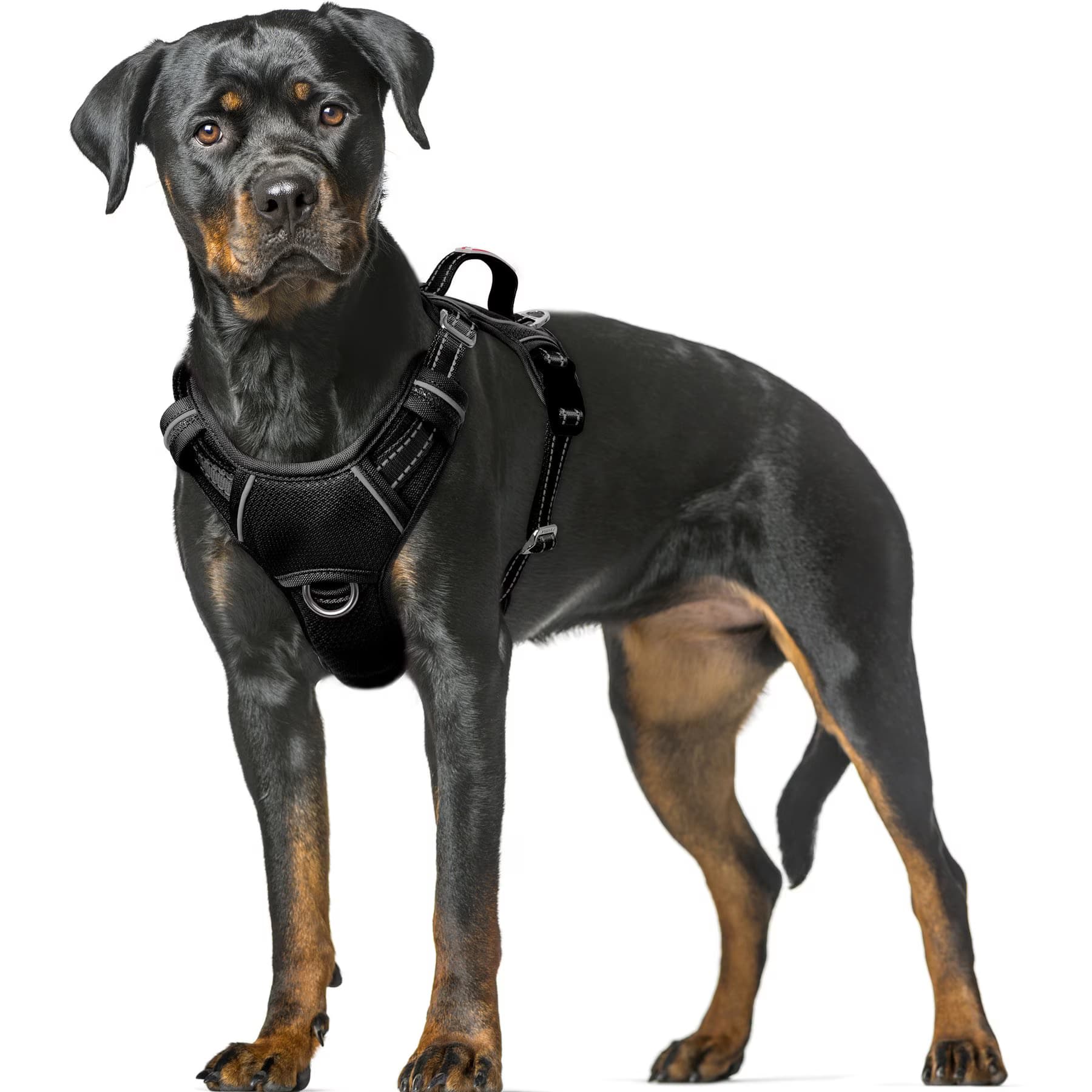 BARKBAY Air Reflective No-Pull Dog Harness with ID Tag Pocket, Black, X-Small: 15.5 to 19.5-in chest — view 3