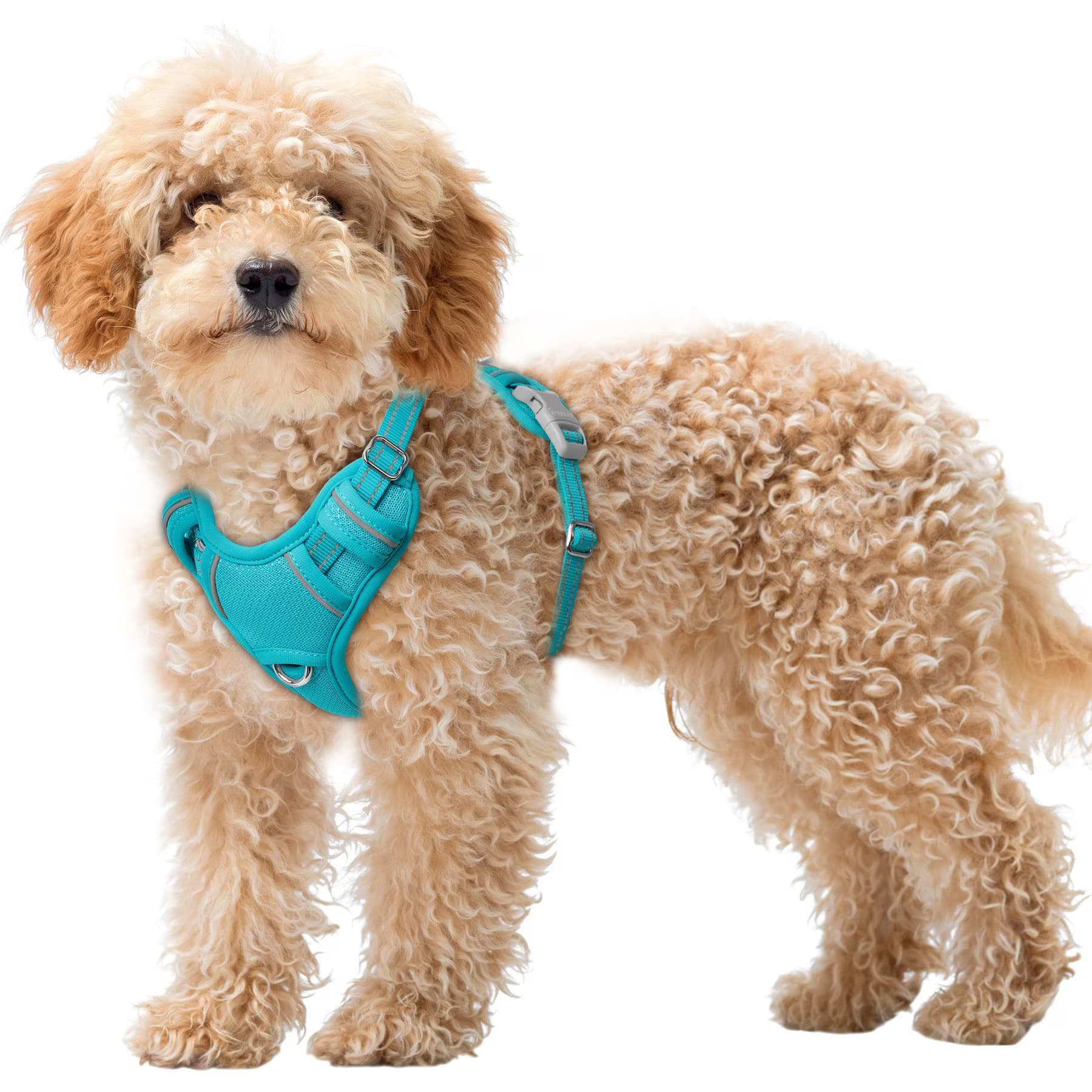 BARKBAY BARKBAY Air Reflective No-Pull Dog Harness with ID Tag Pocket, Ocean Blue, X-Small: 15.5 to 19.5-in chest