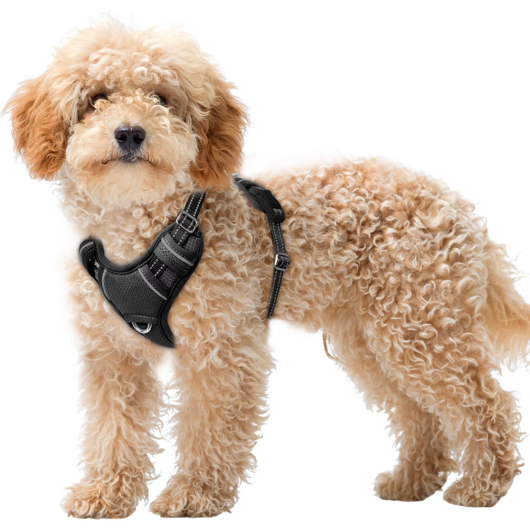BARKBAY BARKBAY Air Reflective No-Pull Dog Harness with ID Tag Pocket, Black, X-Small: 15.5 to 19.5-in chest