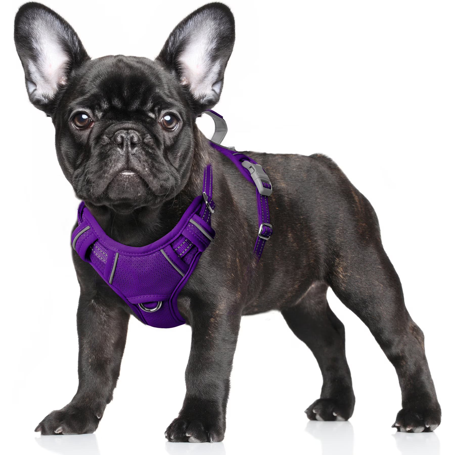 BARKBAY Air Reflective No-Pull Dog Harness with ID Tag Pocket, Purple, X-Small: 15.5 to 19.5-in chest — view 2