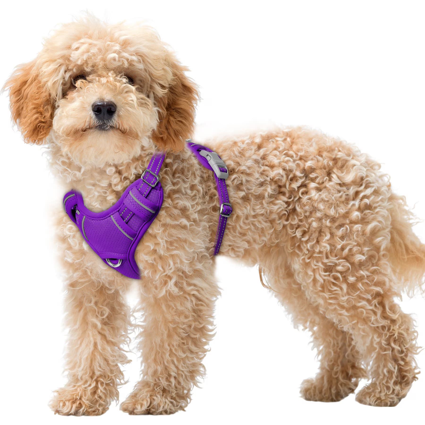 BARKBAY BARKBAY Air Reflective No-Pull Dog Harness with ID Tag Pocket, Purple, X-Small: 15.5 to 19.5-in chest