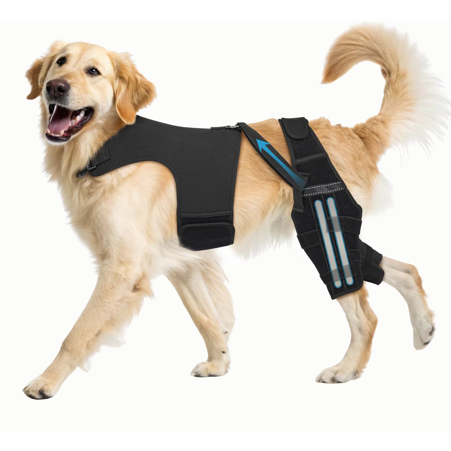 Supet Adjustable Dog Knee Braces for Back Leg with 4 Stabilizers, XX-Large — view 3