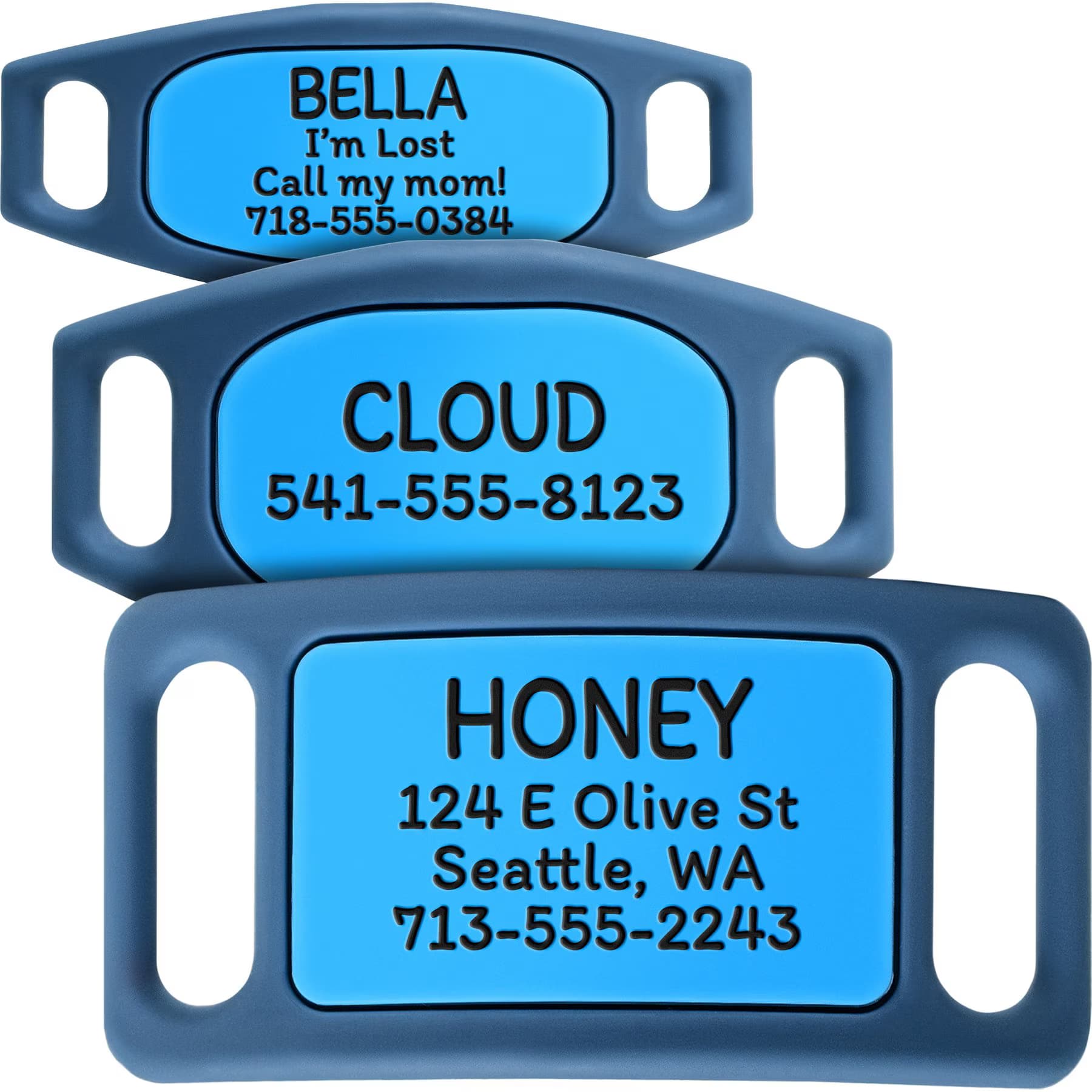 GoTags GoTags Personalized Engraved Silicone Slide On No Noise Dog & Cat ID Tag, Cyan, Medium