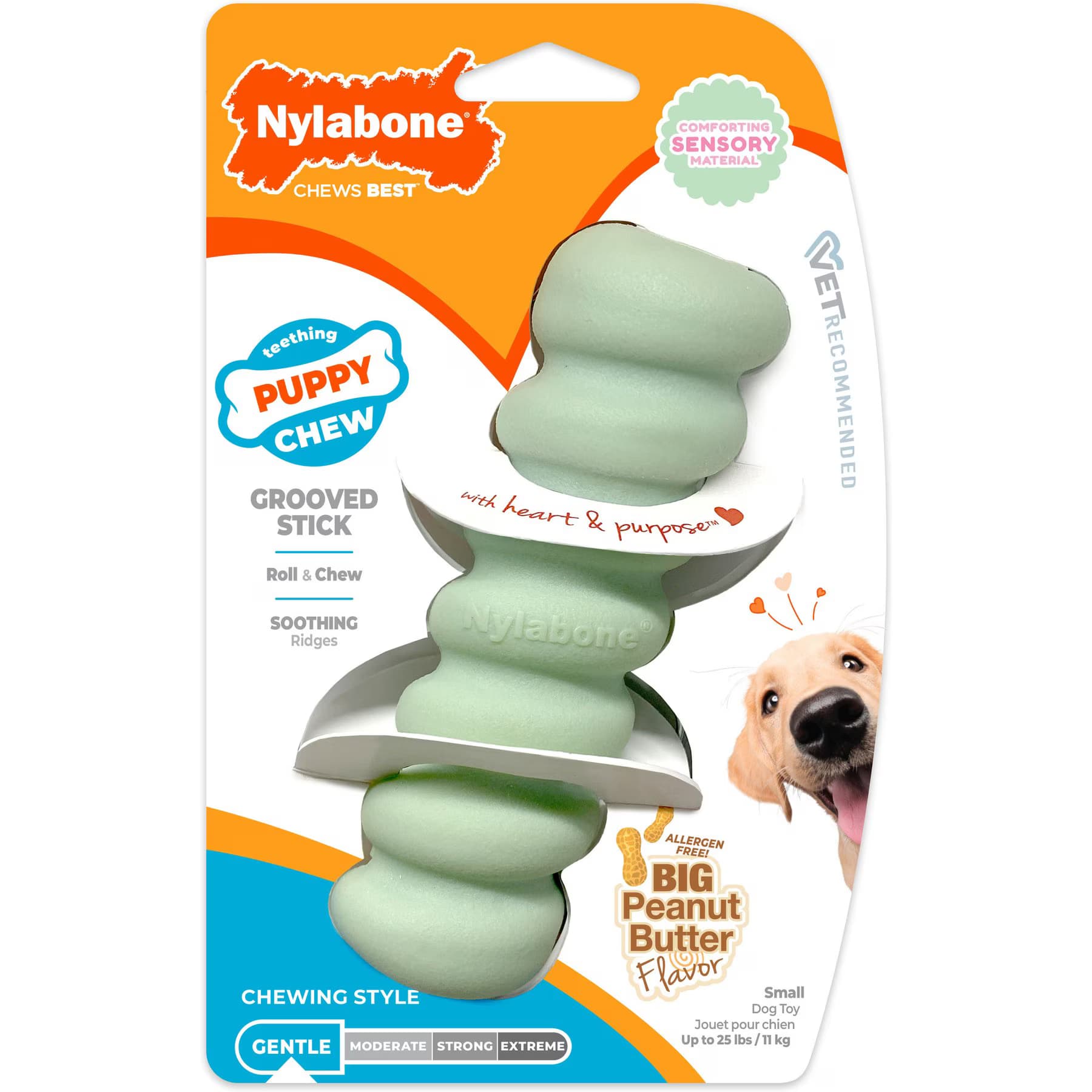 Nylabone Nylabone Teething Stick Puppy Chew Toy, Green