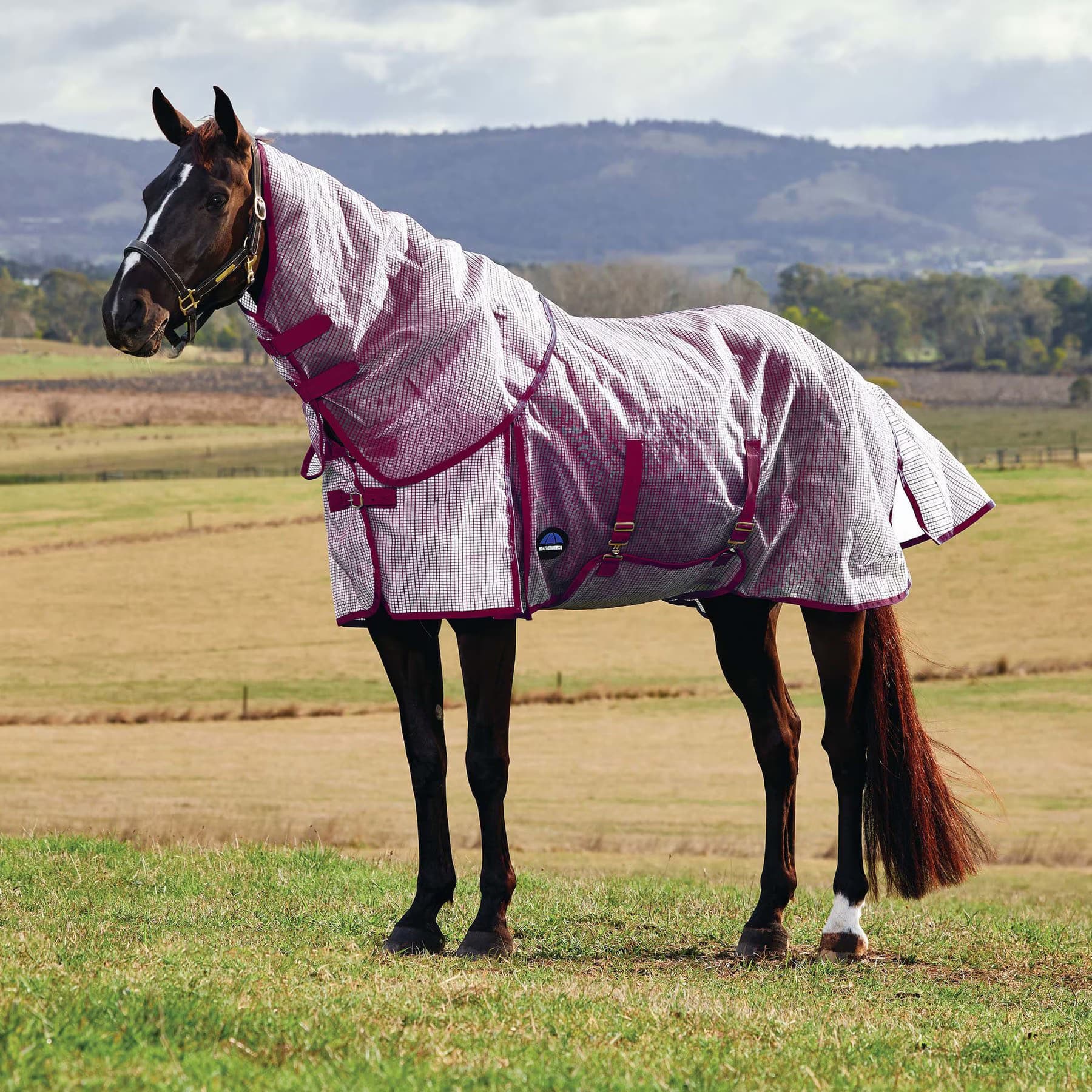 WeatherBeeta WeatherBeeta ComFiTec Ripshield Detach-A-Neck Horse Fly Sheet, White/Burgundy, 84-in