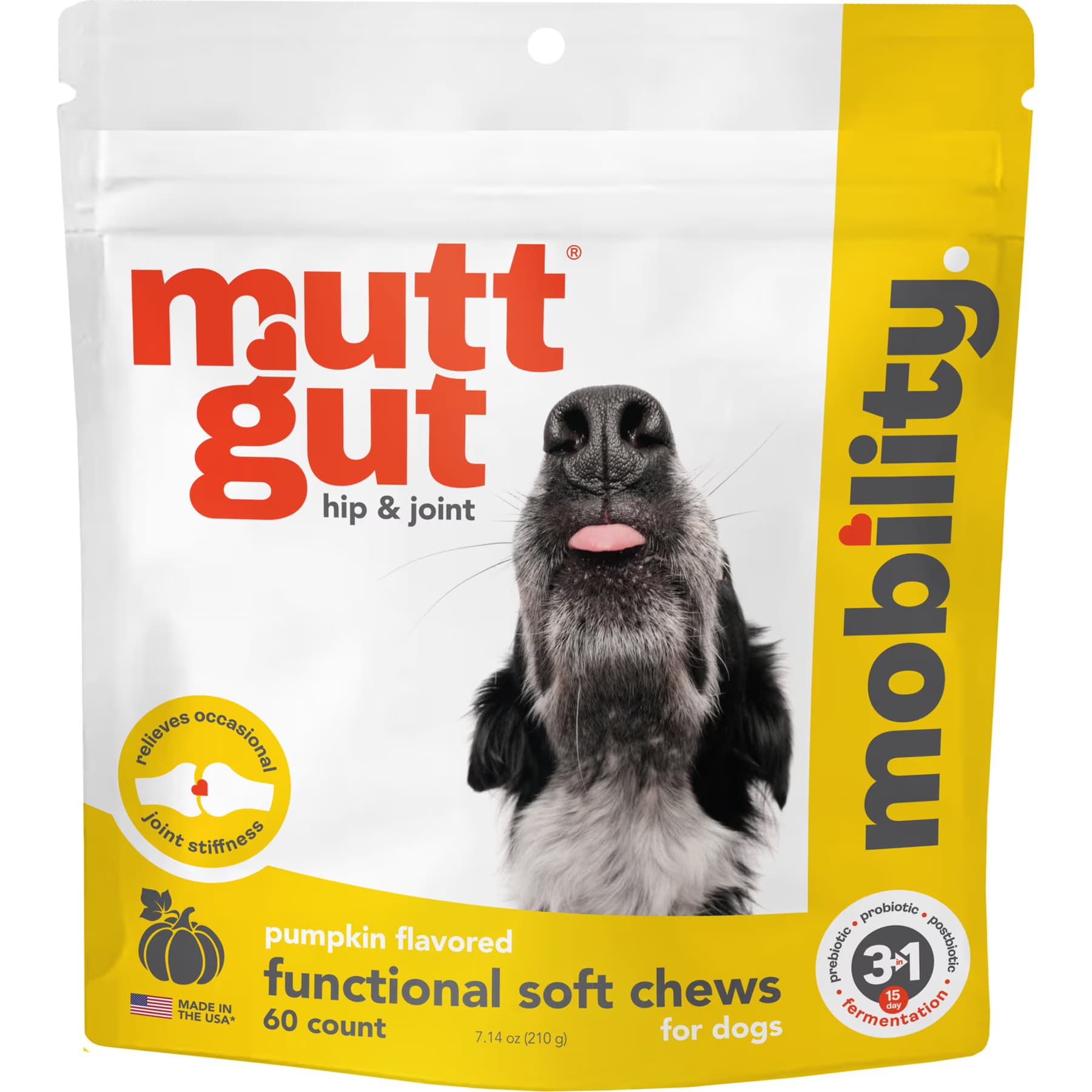 Mutt Gut Mutt Gut Chews Mobility Pumpkin Flavored Supplement for Dogs