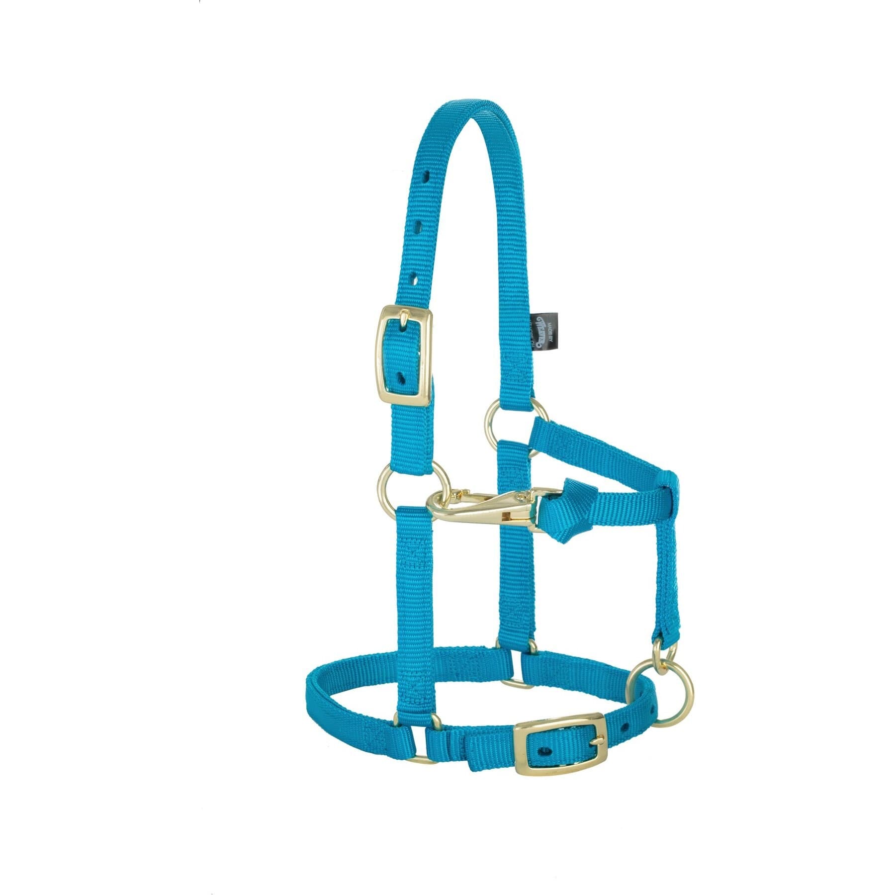 Weaver Equine Weaver Equine Original Adjustable Halter, Average Mini: 5/8-in, Hurricane Blue