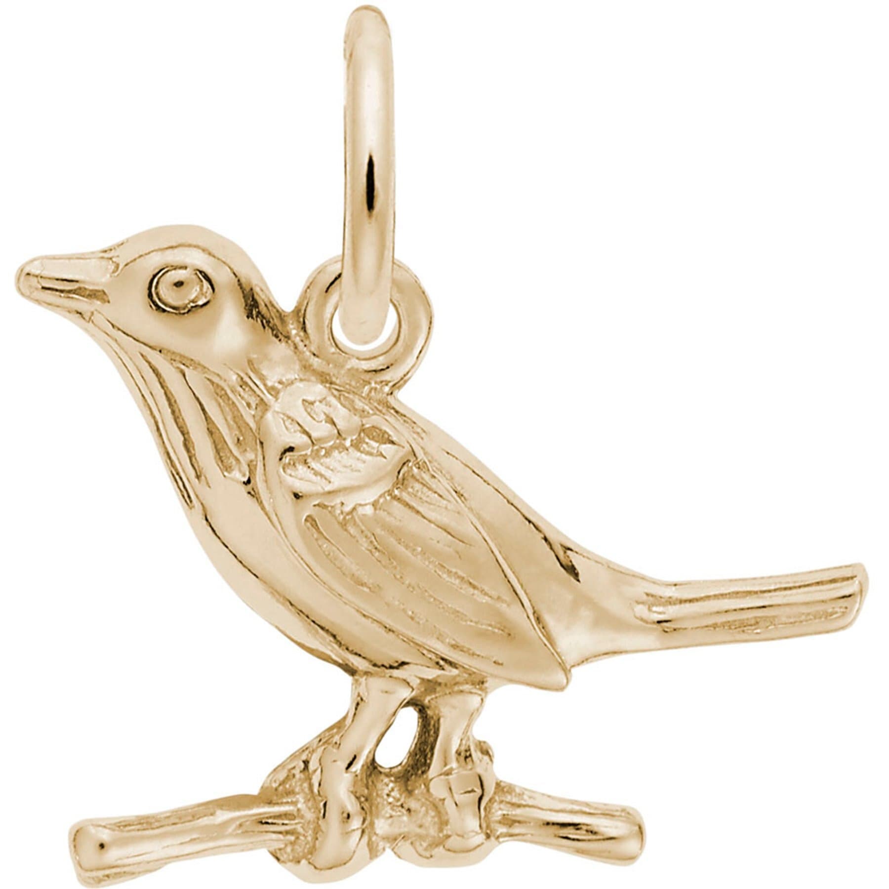 Rembrandt Charms Rembrandt Charms Robin Memorial Keepsake, Gold, 17.47 x 14.39-mm