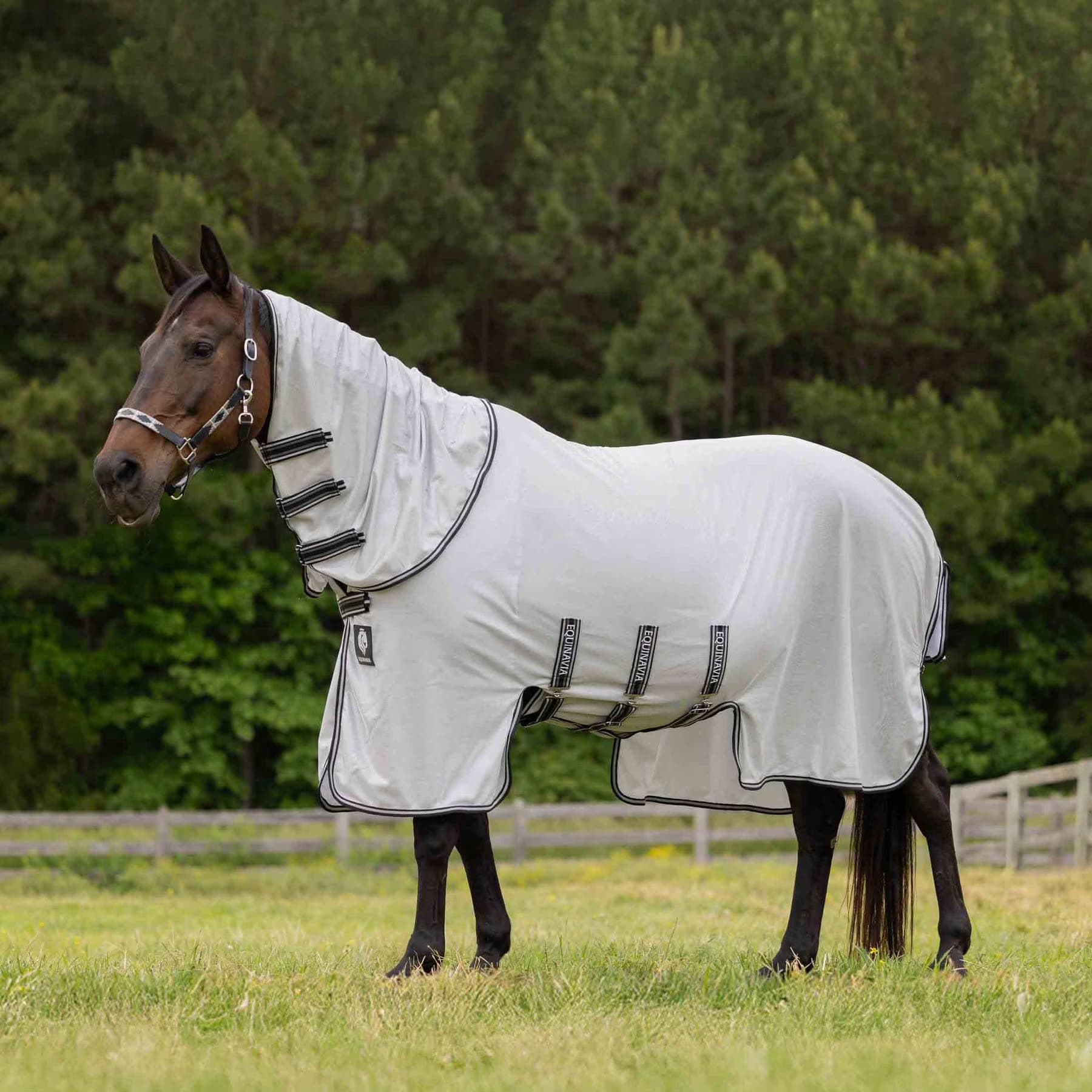 Equinavia Equinavia Vern Full Protect Horse Fly Sheet, Silver Grey, 78-in