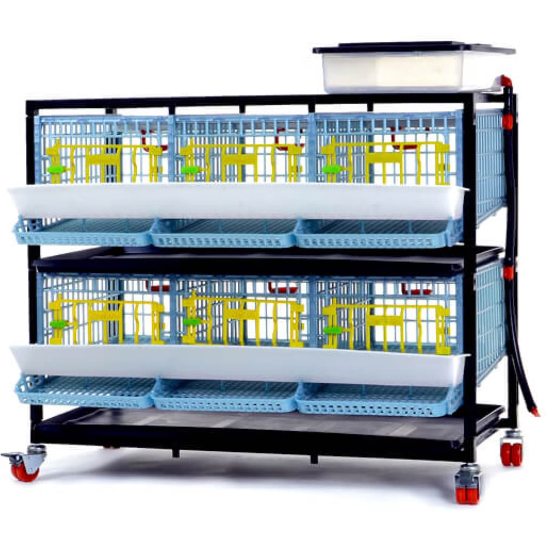 Hatching Time Hatching Time Comfortplast Jumbo Quail Cage, 2 Layer