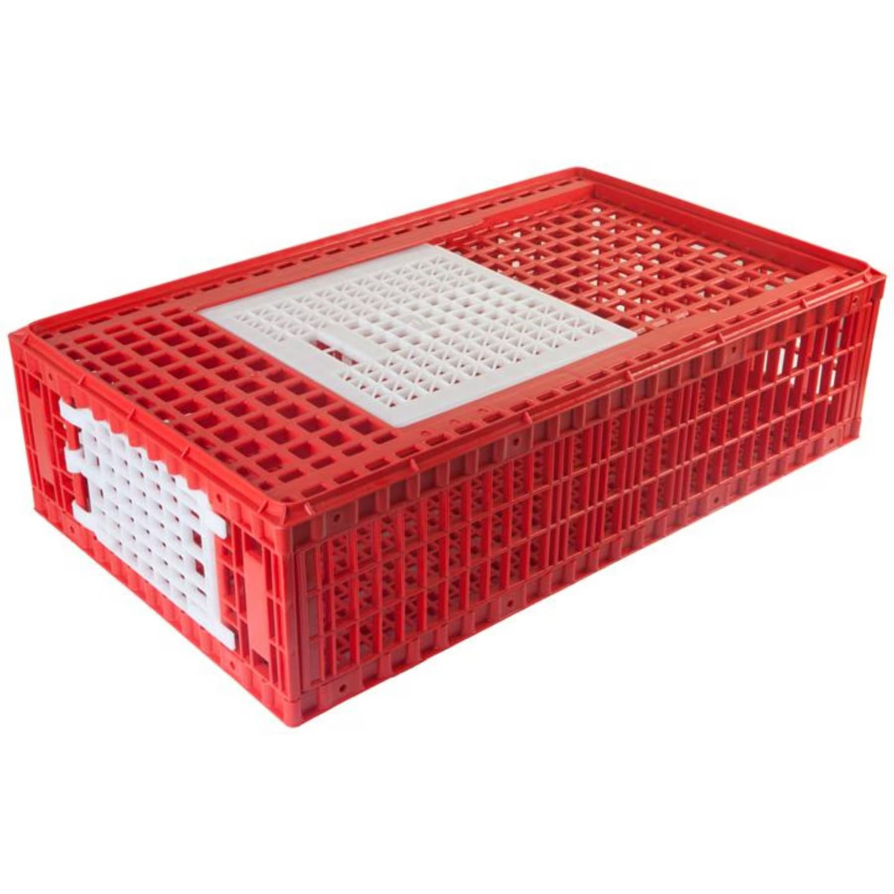 Hatching Time Hatching Time 2 Door Chicken Transport Coop