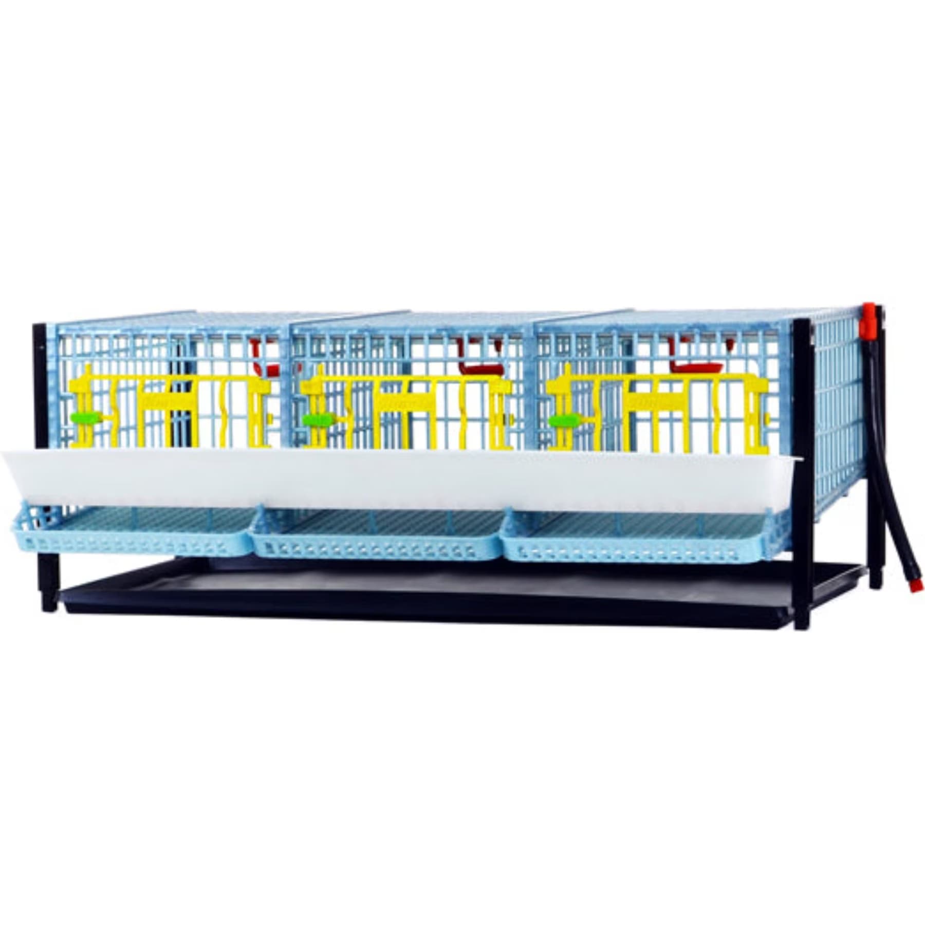 Hatching Time Hatching Time Comfortplast Traditional Quail Cage Addition, Single Layer