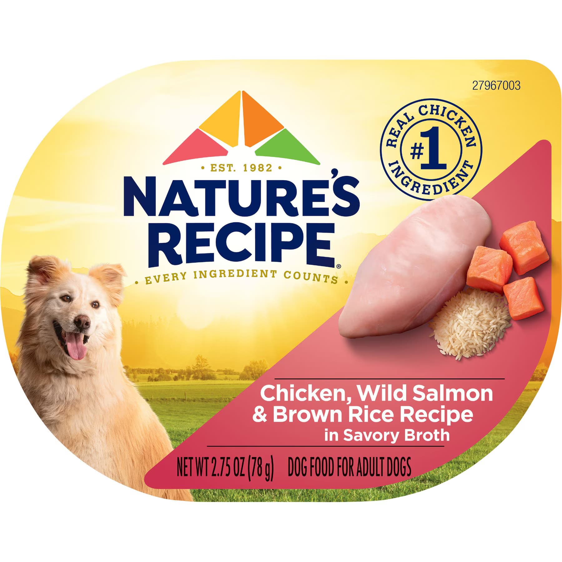 Nature's Recipe Nature’s Recipe Chicken & Wild Salmon Recipe in Broth Wet Dog Food, 2.75-oz