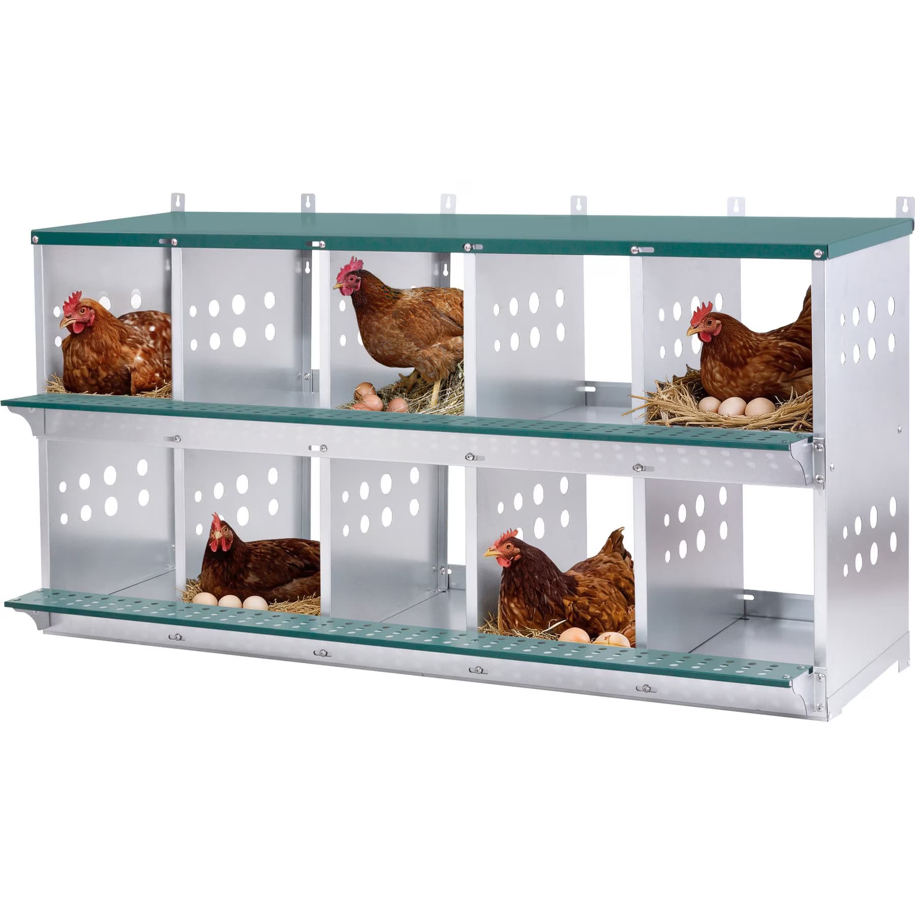 Yafylly Yafylly 10-Bay Metal Chicken & Duck Nesting Box