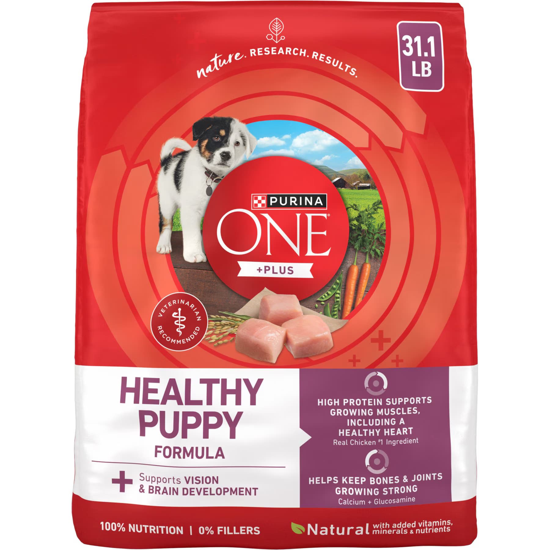 Purina ONE Purina ONE Plus Natural High Protein Healthy Puppy Chicken Formula Dry Puppy Food