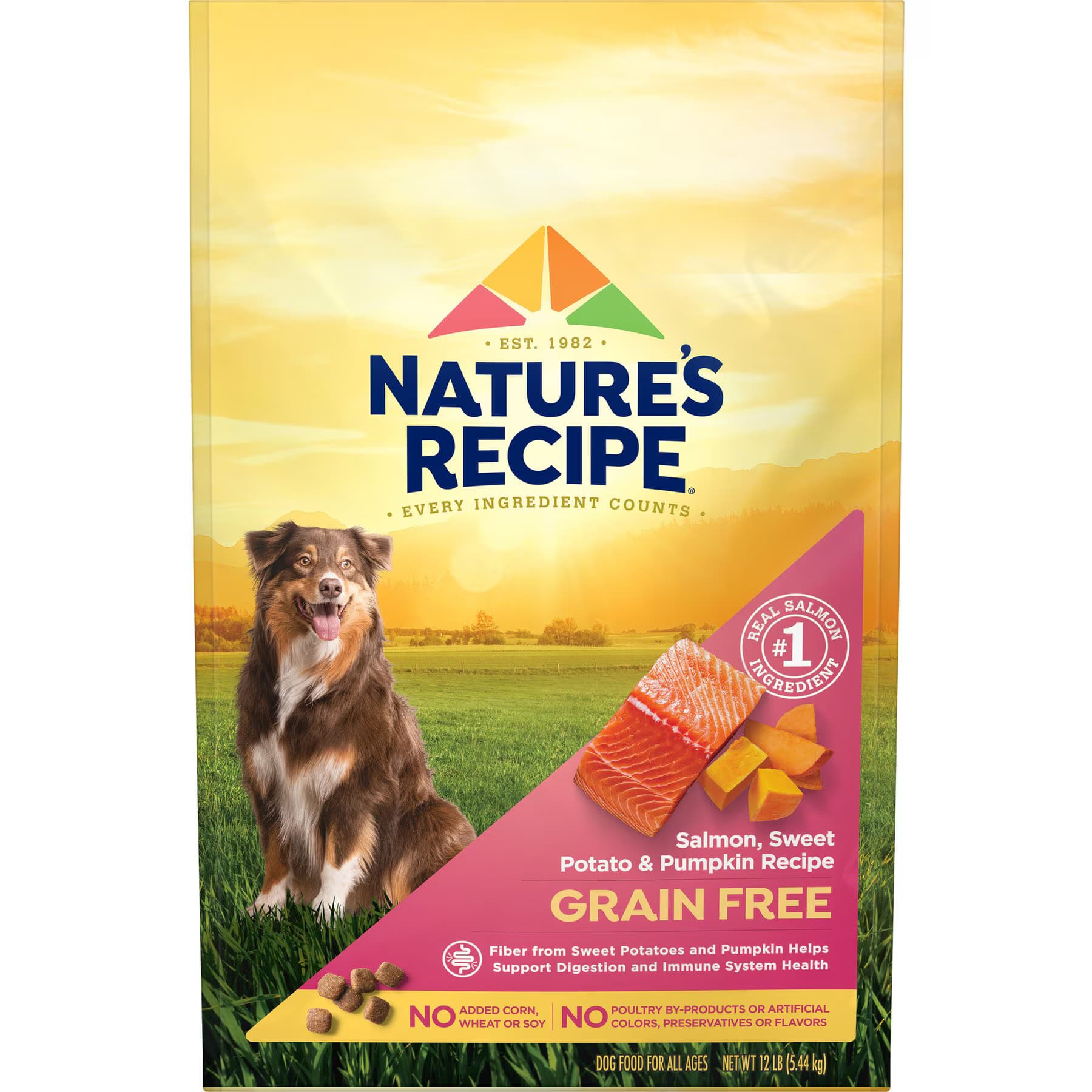 Nature's Recipe Nature’s Recipe Grain-Free Salmon, Sweet Potato & Pumpkin Recipe Dry Dog Food