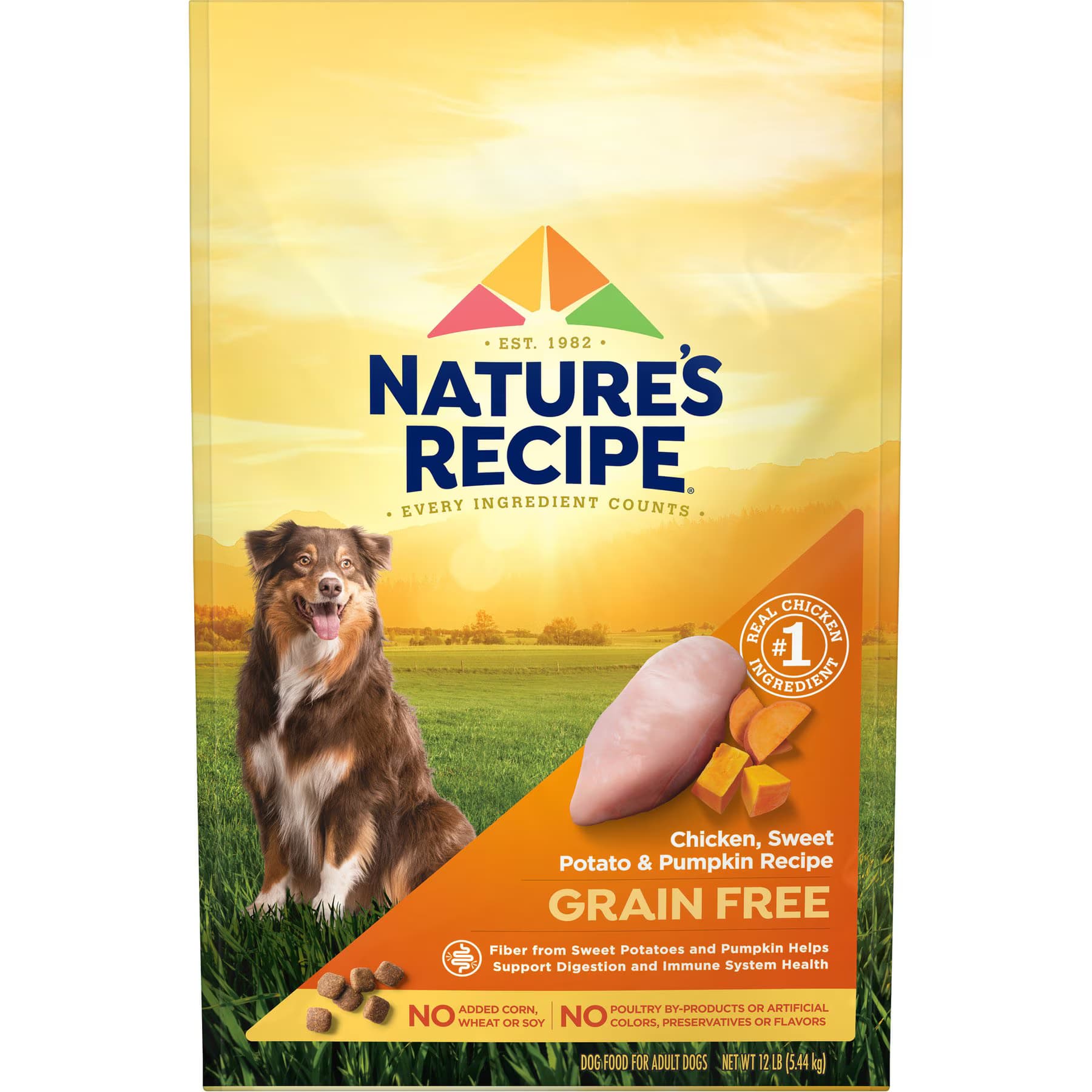 Nature's Recipe Nature’s Recipe Grain-Free Chicken, Sweet Potato & Pumpkin Recipe Dry Dog Food