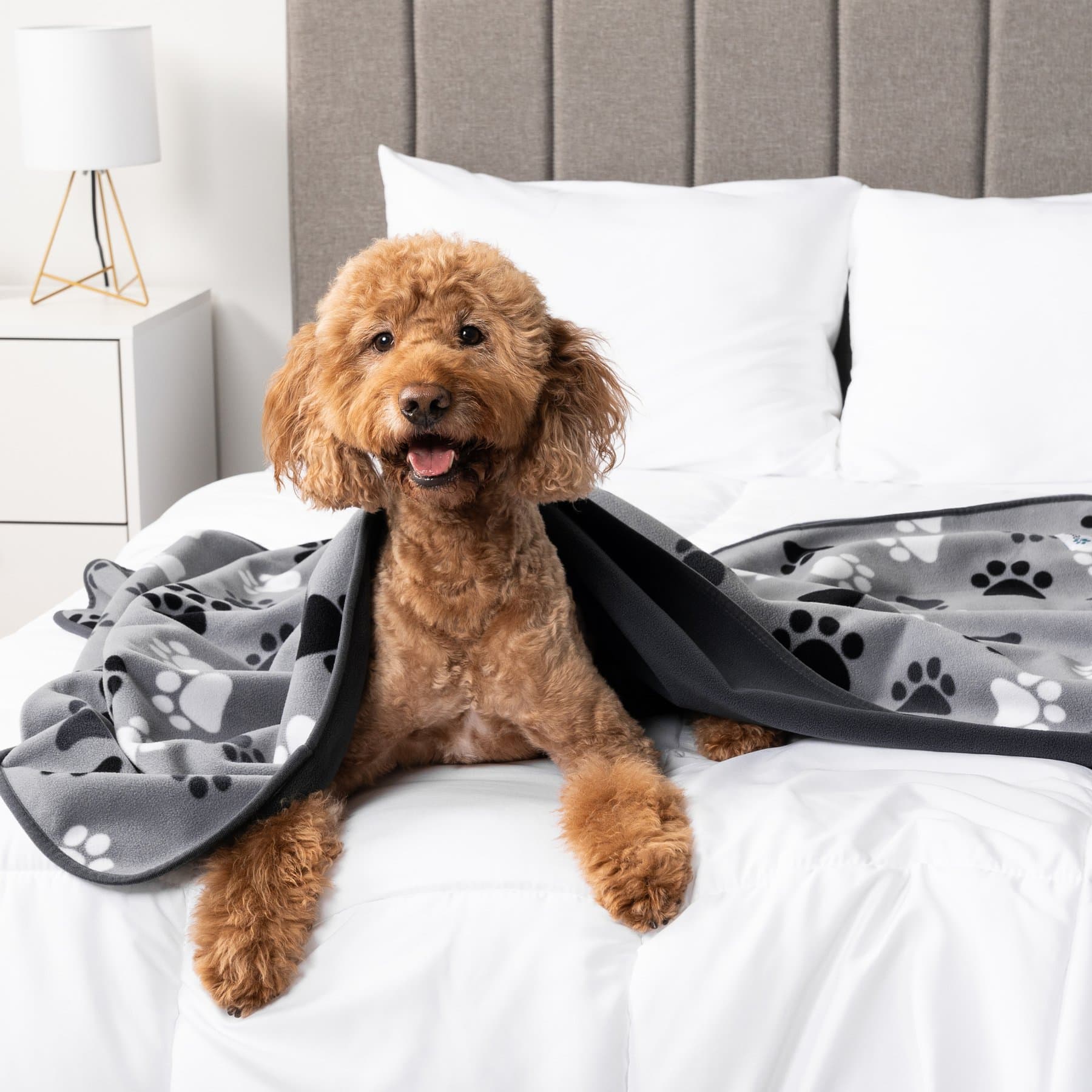 PetAmi Reversible Fleece Waterproof Cat & Dog Blanket, Paw Print Gray, X-Large — view 2