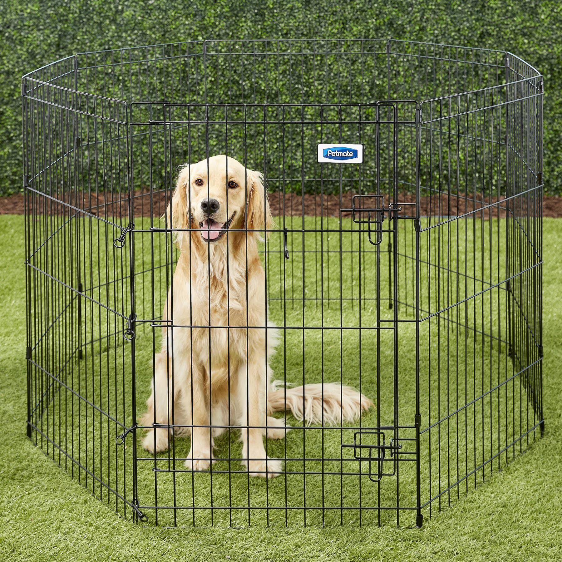 Petmate 8-Panel Wire Dog Exercise Pen with Door, Black, Intermediate — view 3