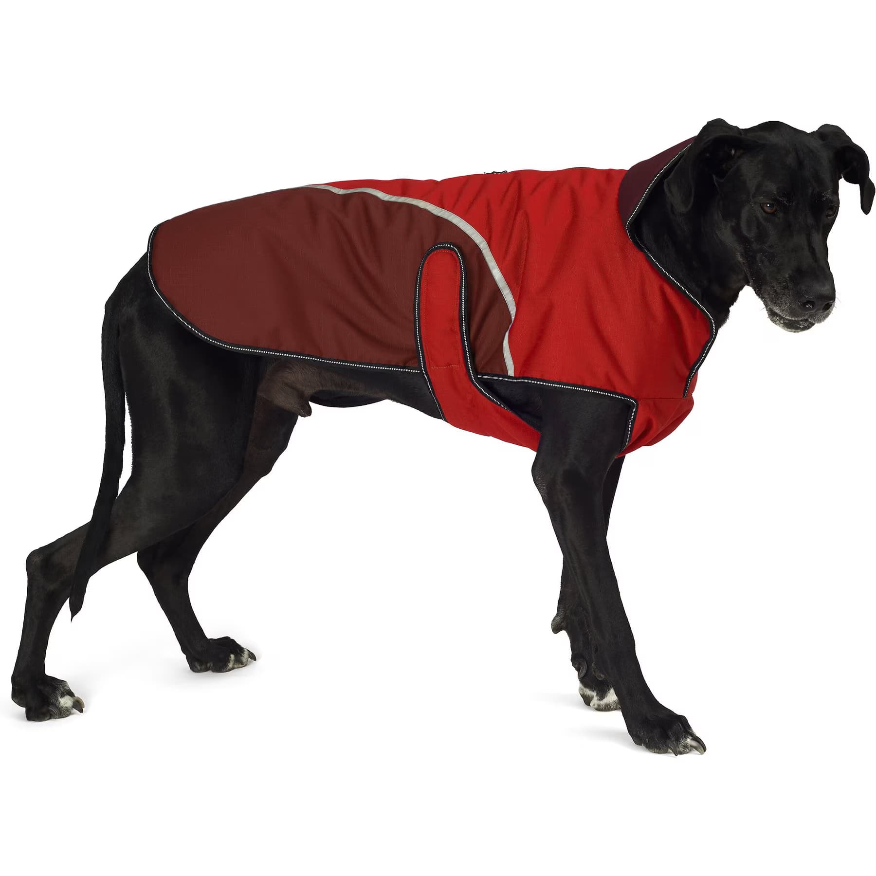PetRageous Designs PetRageous Designs Calgary Insulated Dog Jacket, Red, XX-Large