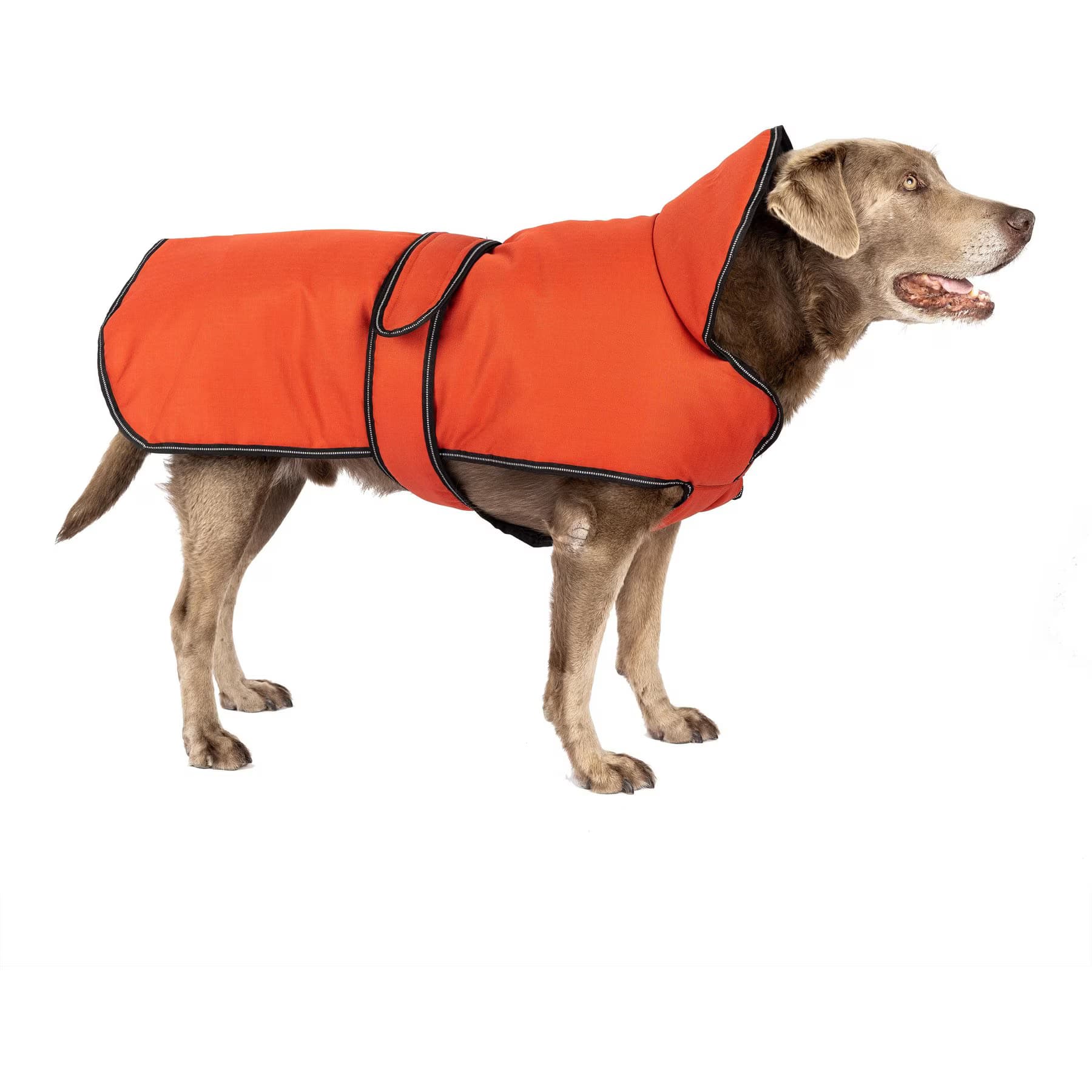 PetRageous Designs PetRageous Designs Juneau Insulated Dog Jacket, Red, XX-Large
