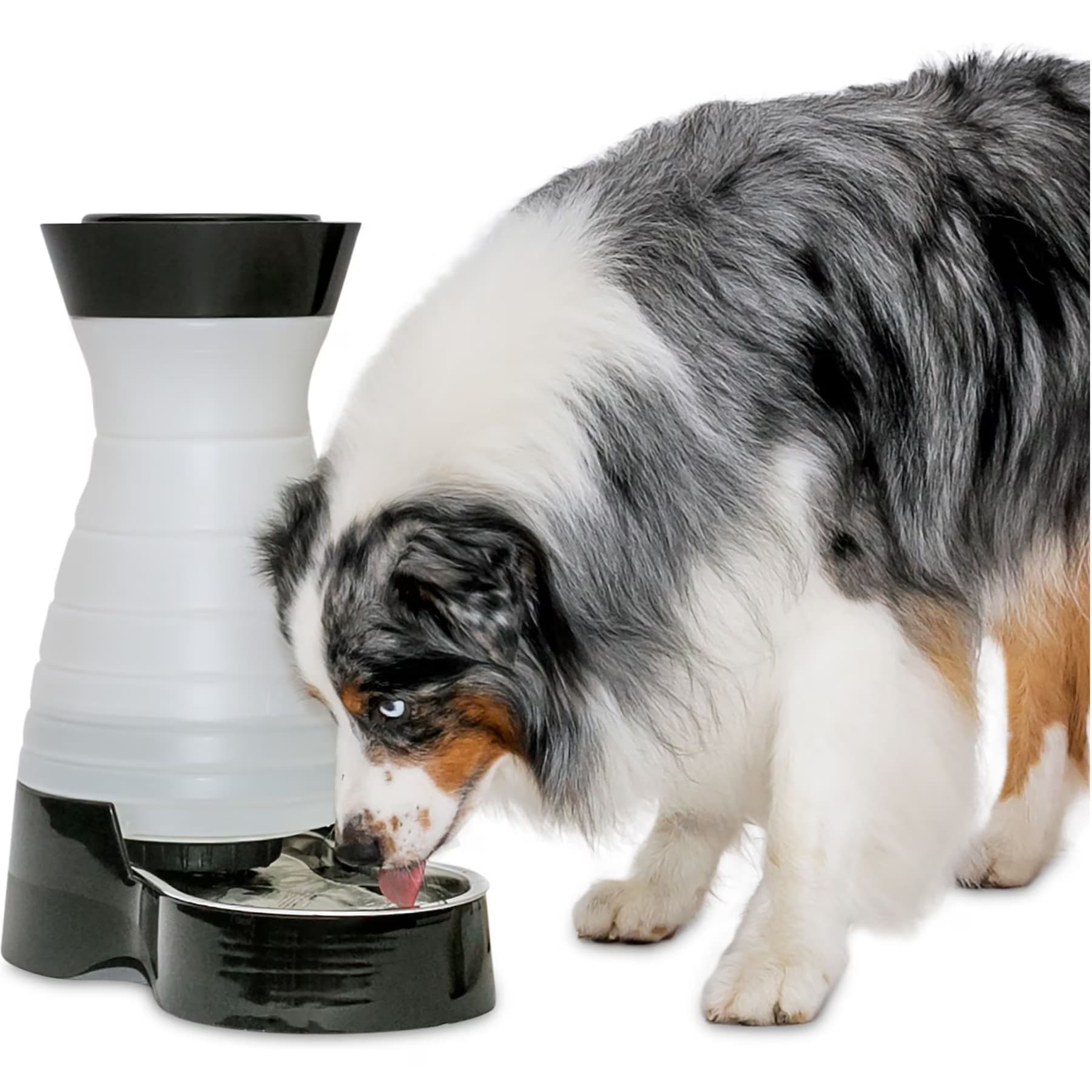 PetSafe PetSafe Healthy Gravity Refill Dog & Cat Waterer, 320-oz