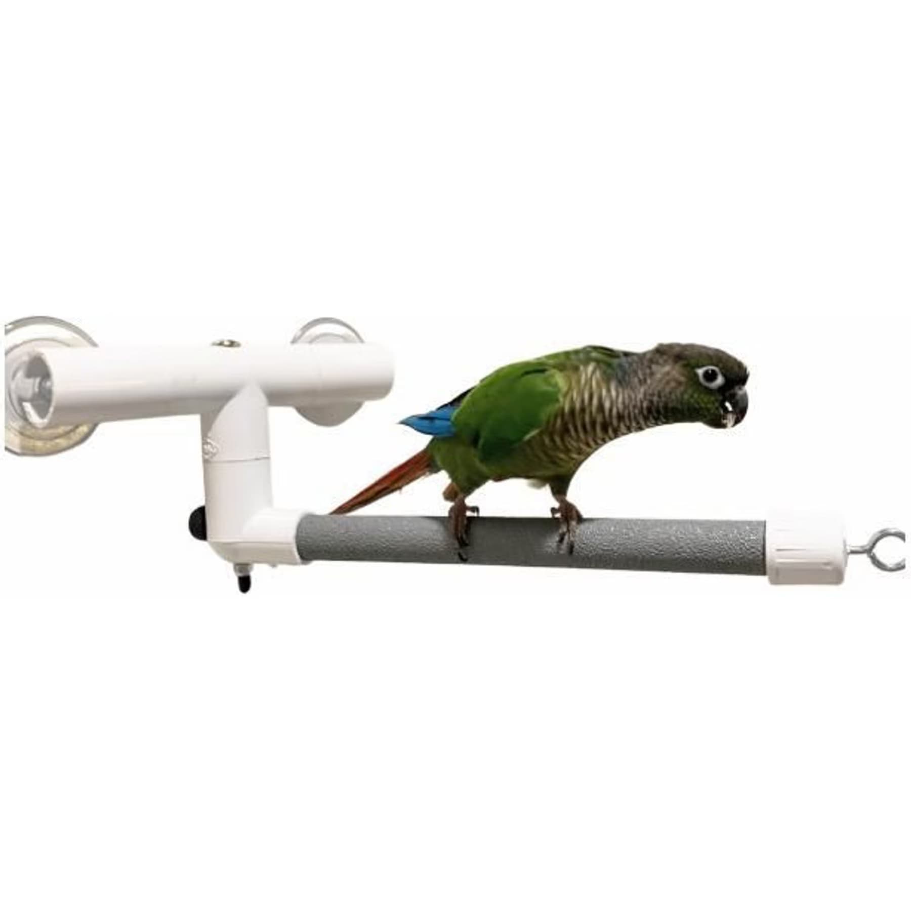 Polly's Pet Products Polly’s Pet Products Deluxe Window & Shower Bird Perch, Small