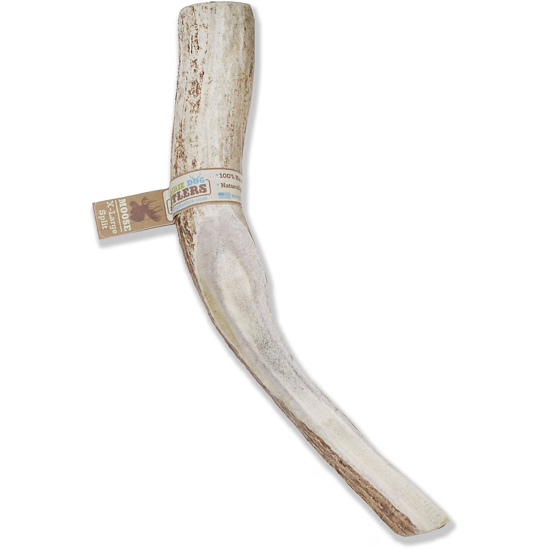 Prairie Dog Prairie Dog Split Moose Antler Dog Chews, 9.5 – 10.5 inch — 9.5-10.5-inch