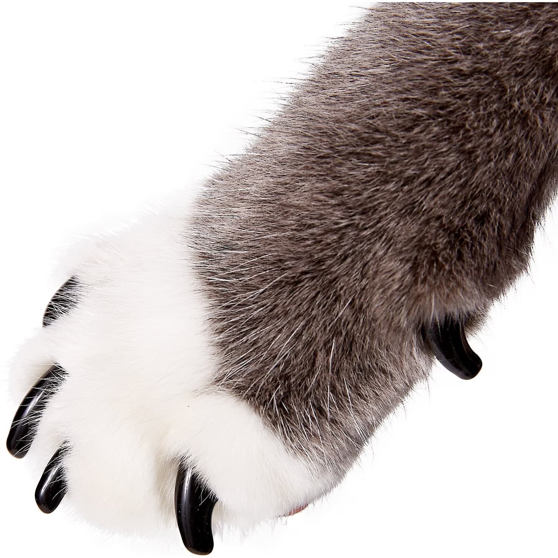 Purrdy Paws Black Soft Cat Nail Caps — view 8