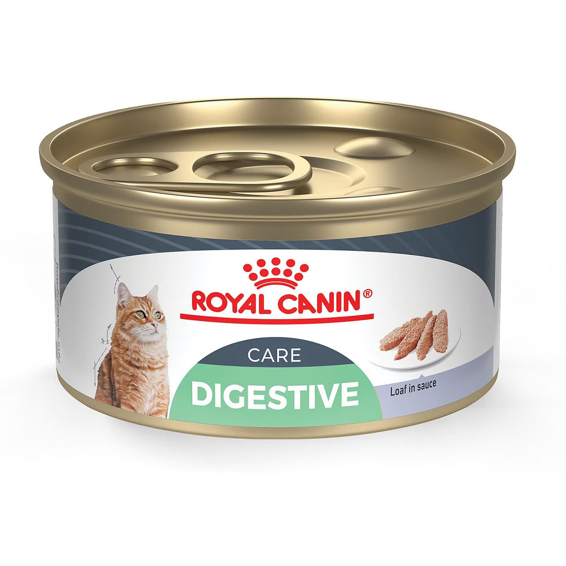 Royal Canin Feline Care Nutrition Digestive Care Loaf Pate Loaf in Sauce Wet Cat Food — view 3