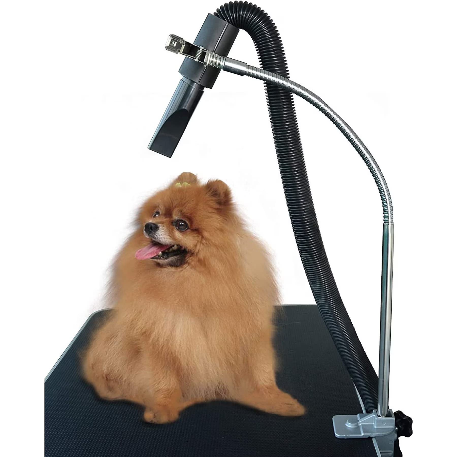 SHELANDY SHELANDY Dog Dryer Holder