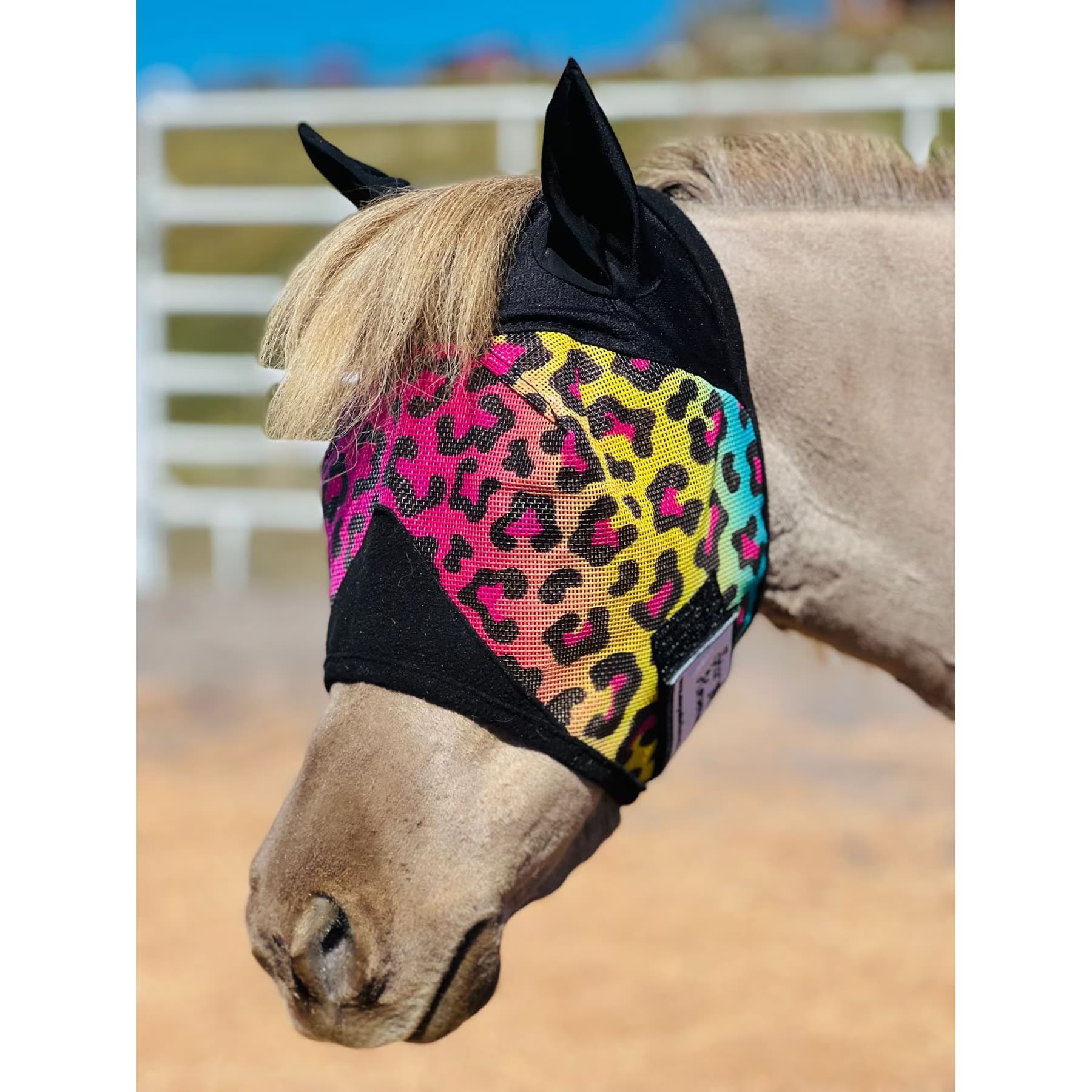 Star Point Horsemanship Star Point Horsemanship Rainbow Cheetah Horse Fly Mask with Ears, Mini Horse Medium