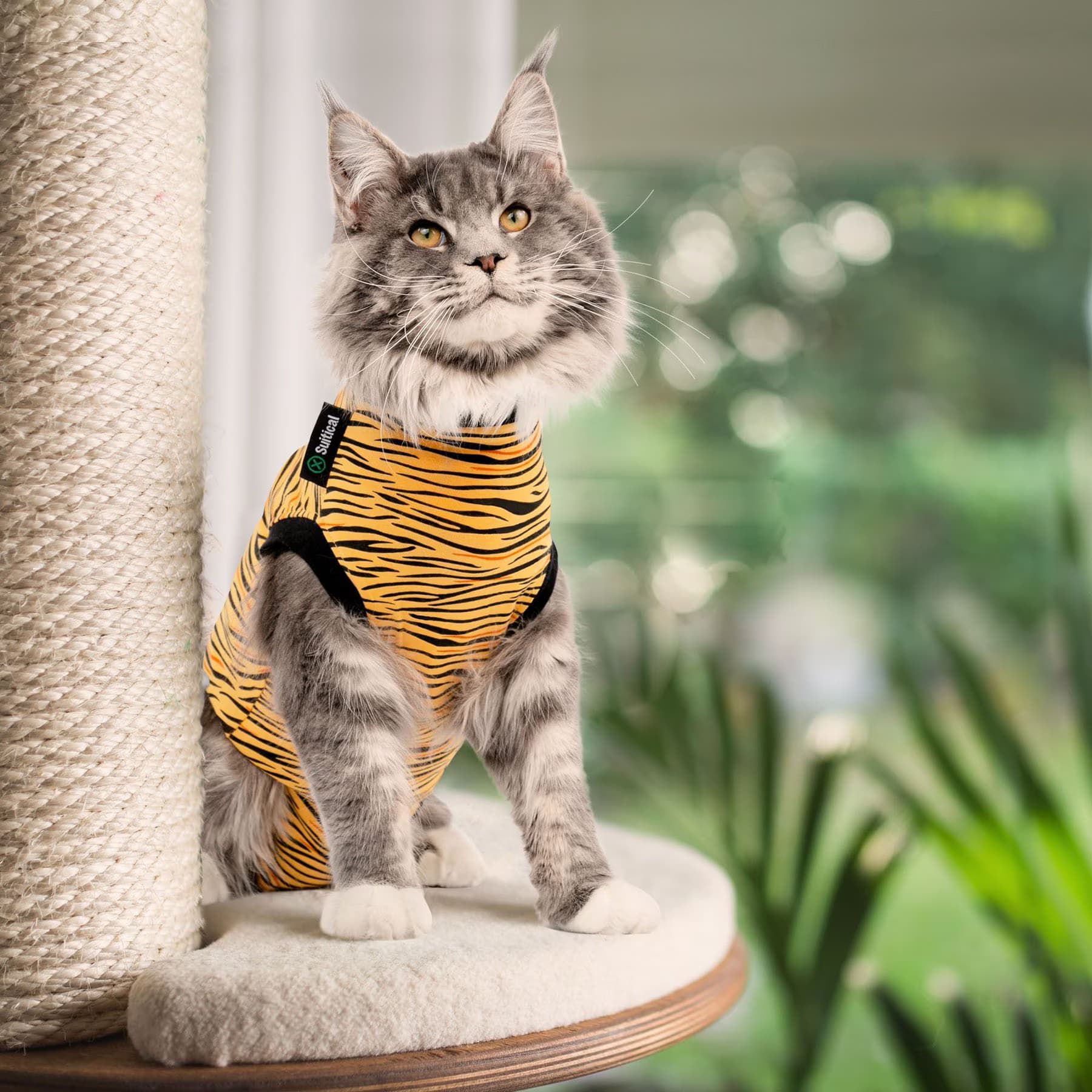 Suitical Suitical Recovery Suit Cat Apparel, Tiger Print, XXX-Small