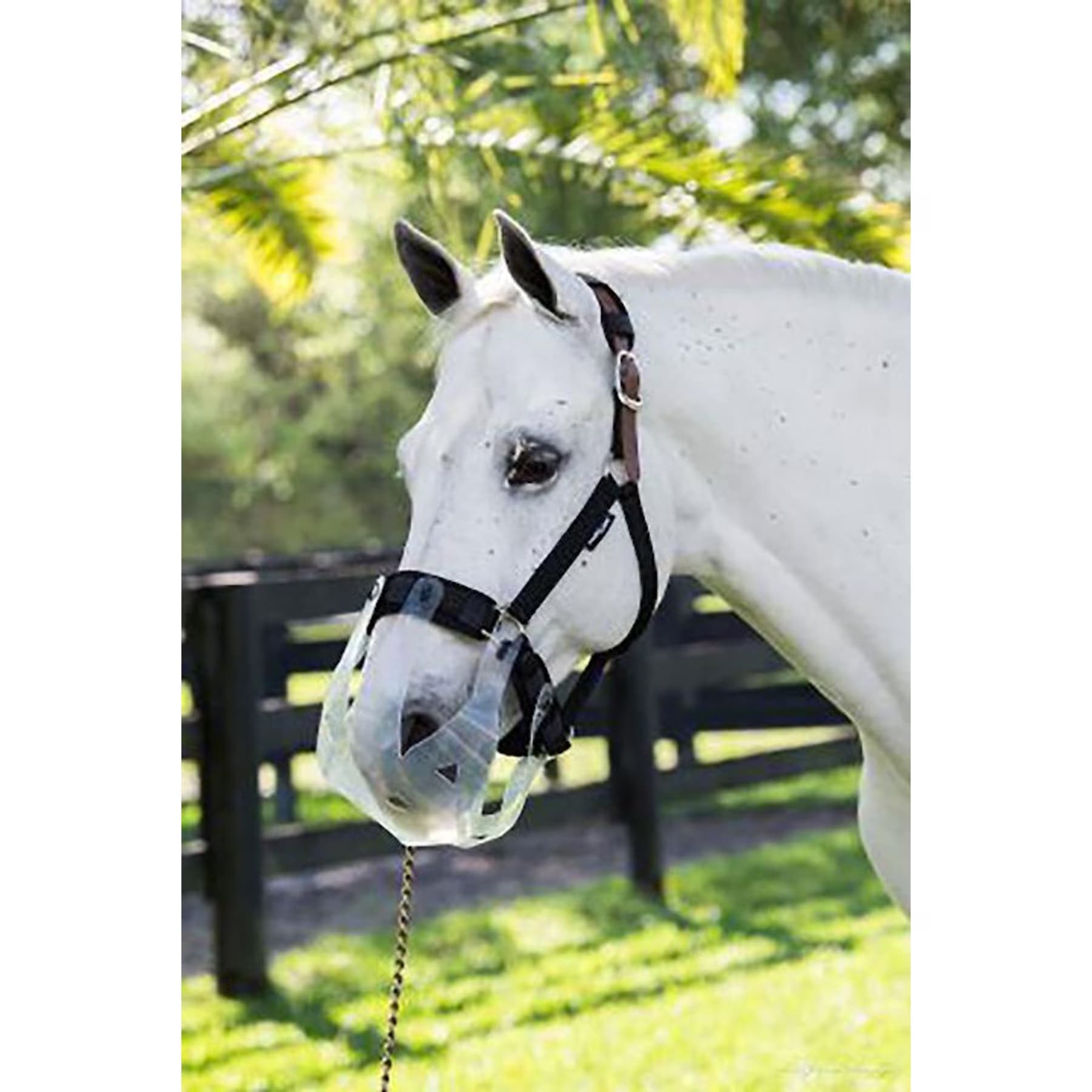 ThinLine ThinLine Grazing Horse Muzzle, Oversize/Draft