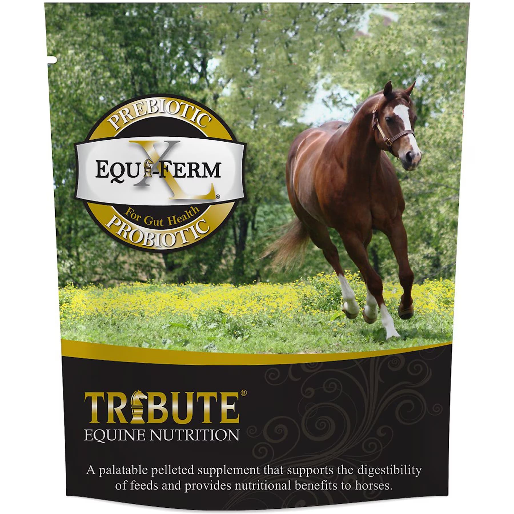 Tribute Equine Nutrition Tribute Equine Nutrition Equi-Ferm X-Large Prebiotic & Probiotic Pellets Horse Supplement