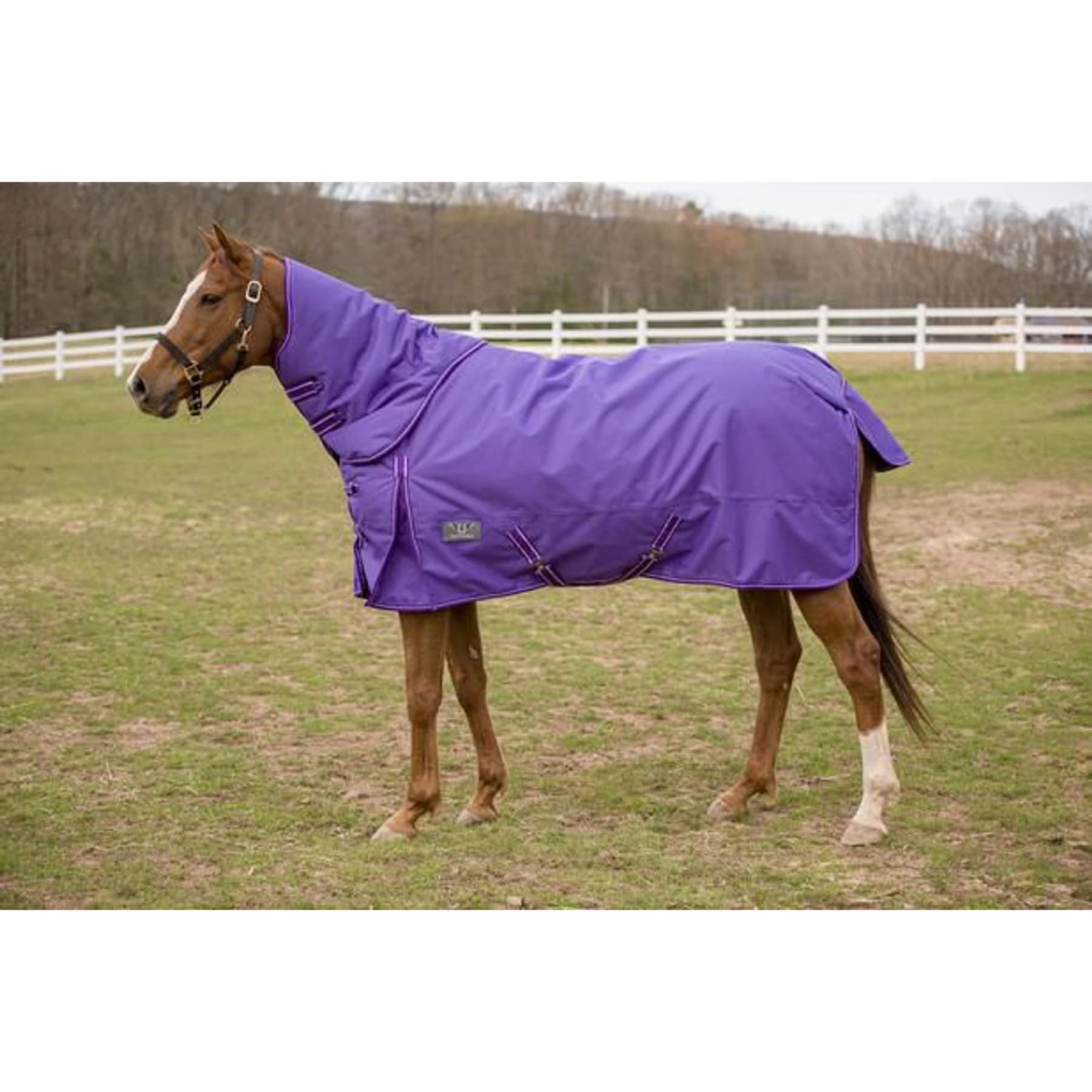 TuffRider 1200 D Comfy Winter Medium Weight Detachable Neck Horse Turnout Blanket, Purple, 81-in — view 4