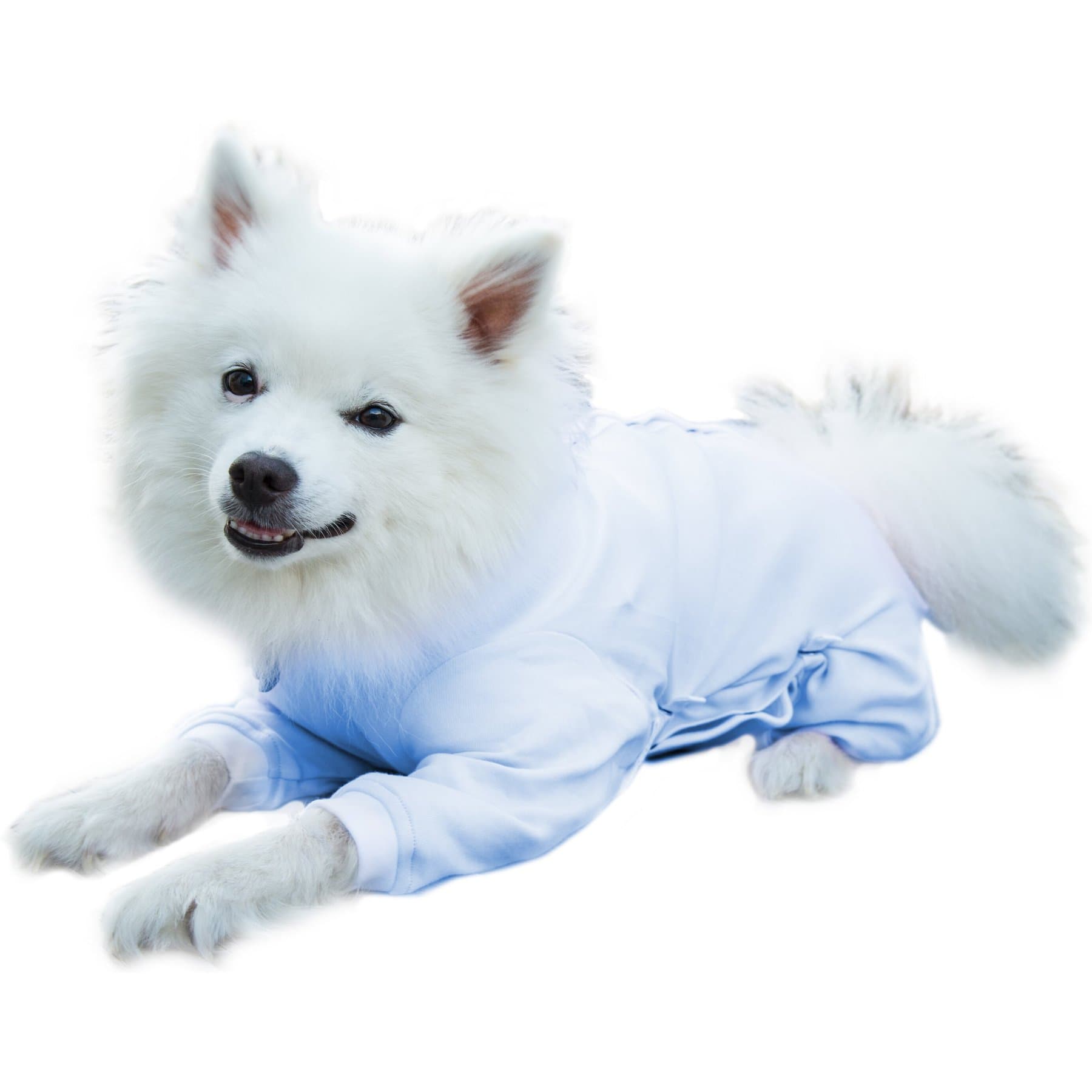 Tulane's Closet Tulane's Closet Cover Me by Tui Adjustable Fit Long Sleeve Step-Into Dog Onesie, Blue, XX-Small