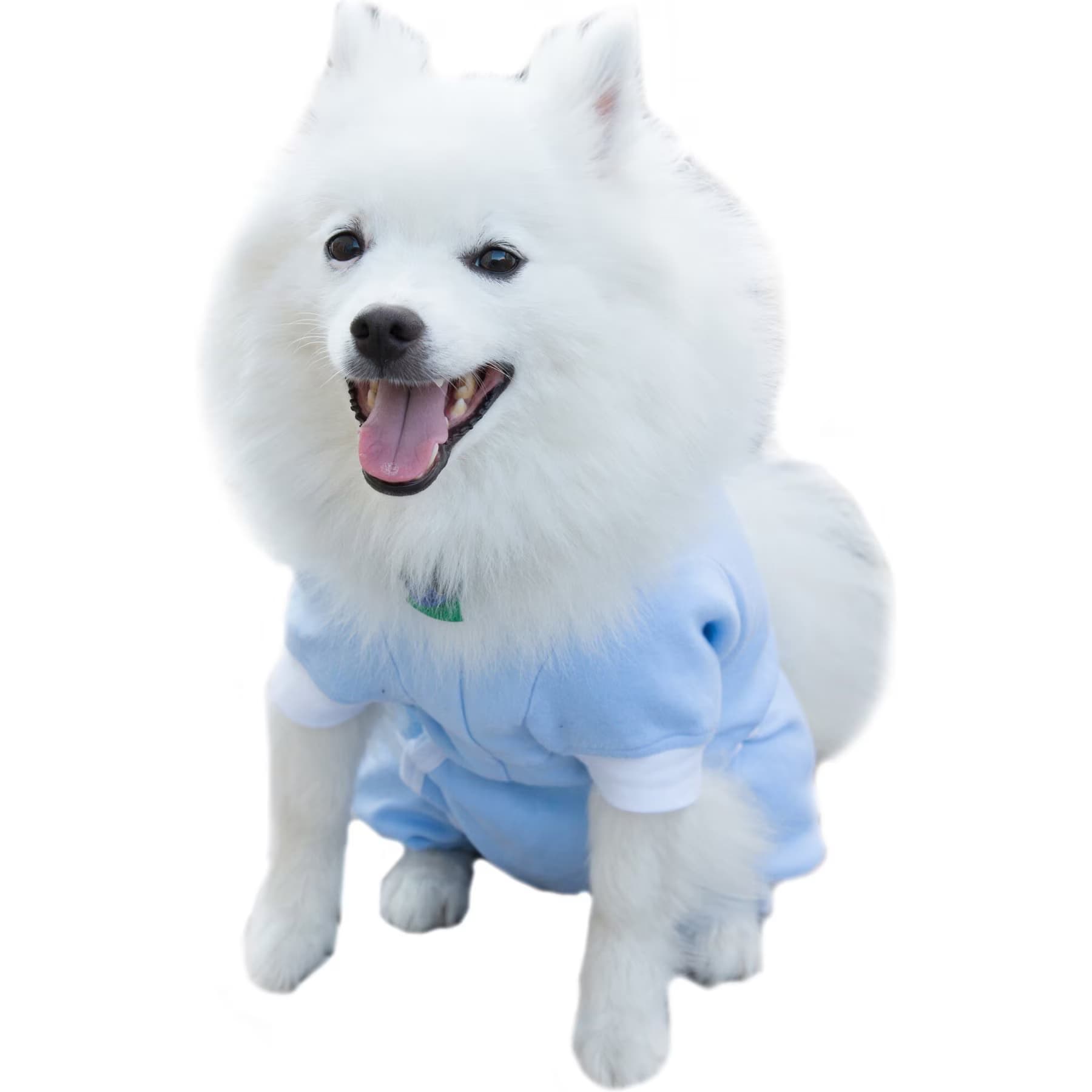 Tulane's Closet Tulane's Closet Cover Me by Tui Adjustable Fit Short Sleeve Step-Into Dog Onesie, Blue, XX-Small