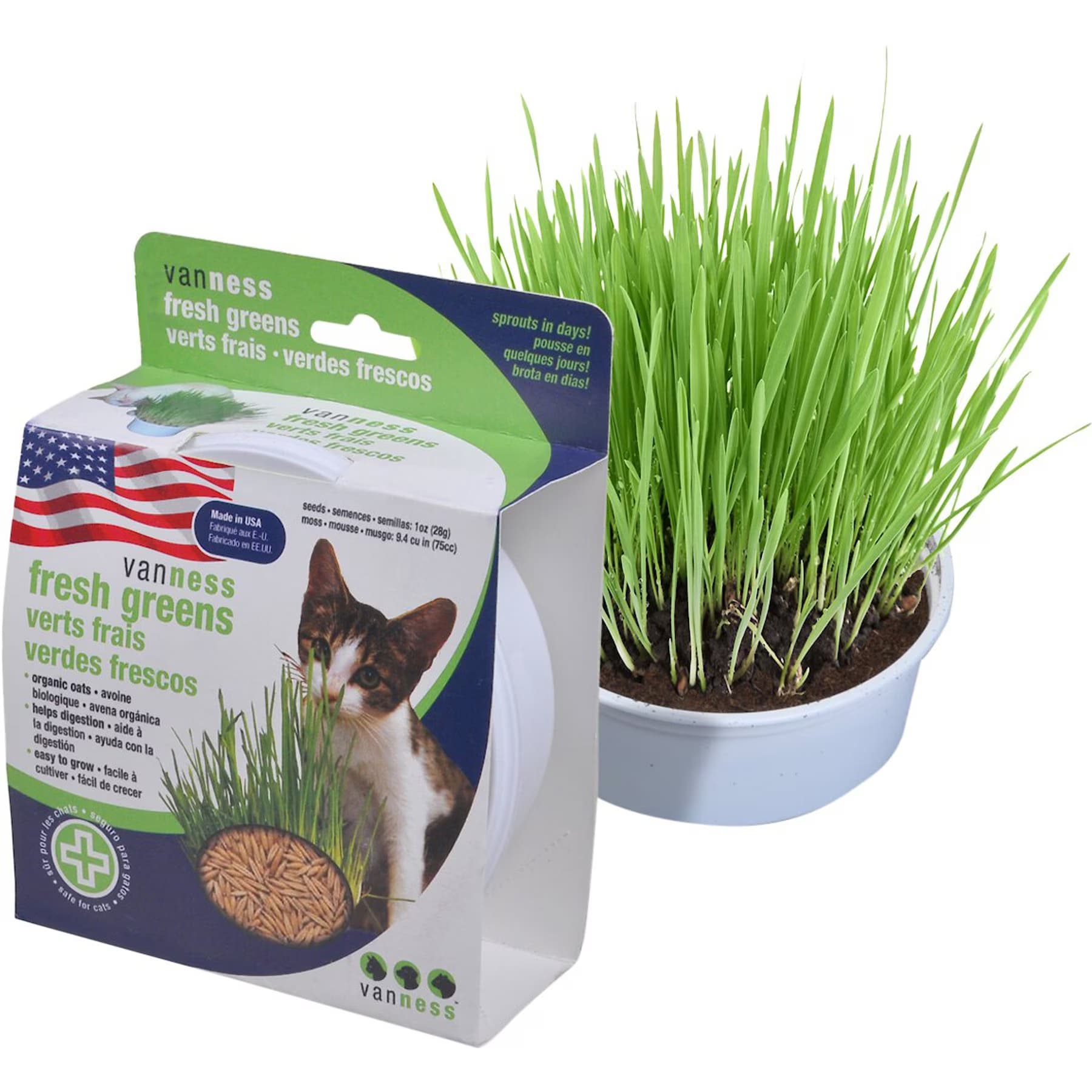 Van Ness Van Ness Oat Garden Kit