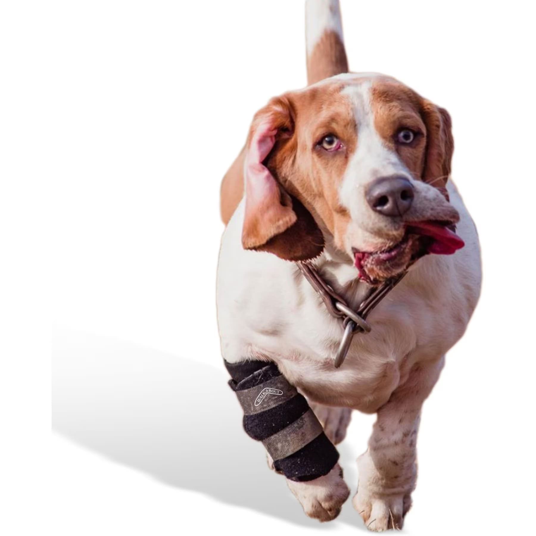WALKABOUT Carpal Support Dog & Cat Brace, Medium/Large — view 2