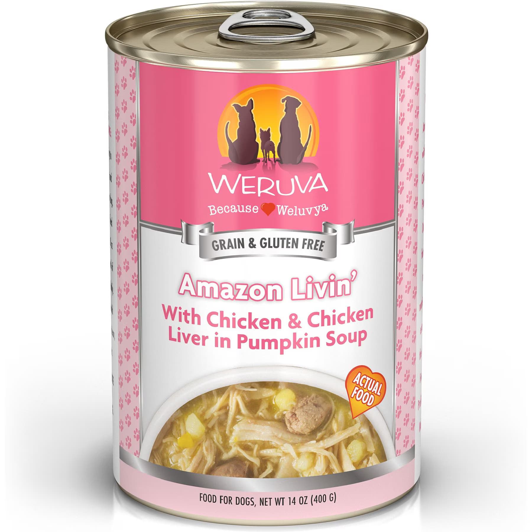 Weruva Amazon Livin' with Chicken & Chicken Liver in Pumpkin Soup Grain-Free Amazon Liver Canned Dog Food, 5.5-oz — view 2
