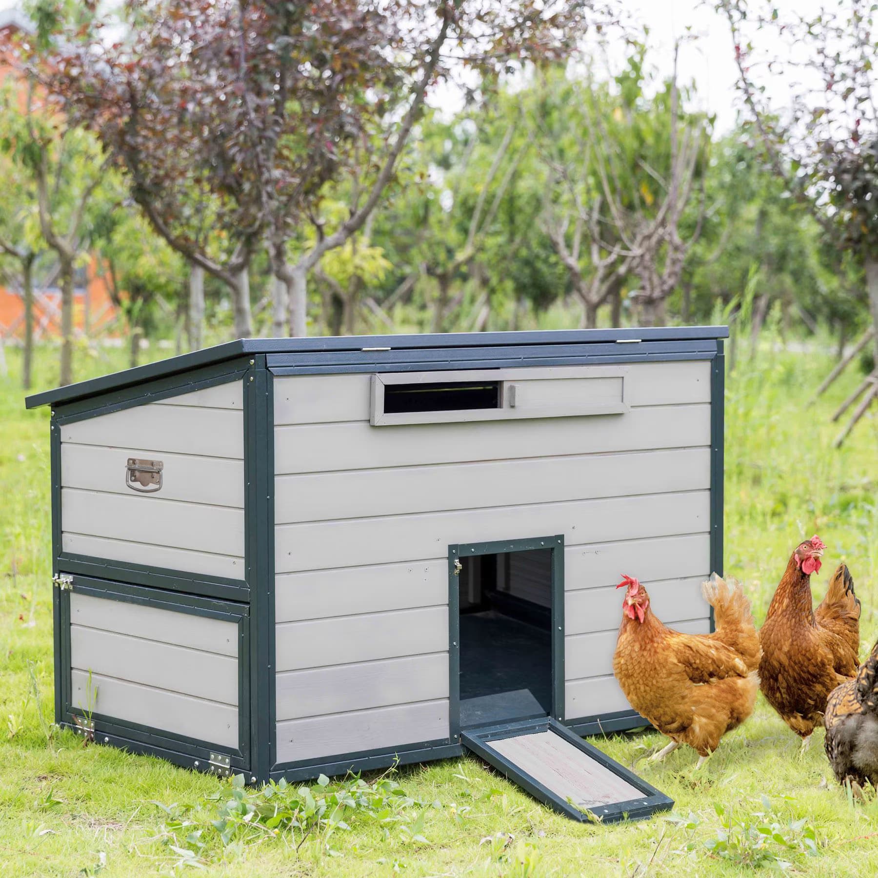 Win World Win World Free-Range Chicken Coop, 2 to 4 Chicken Capacity