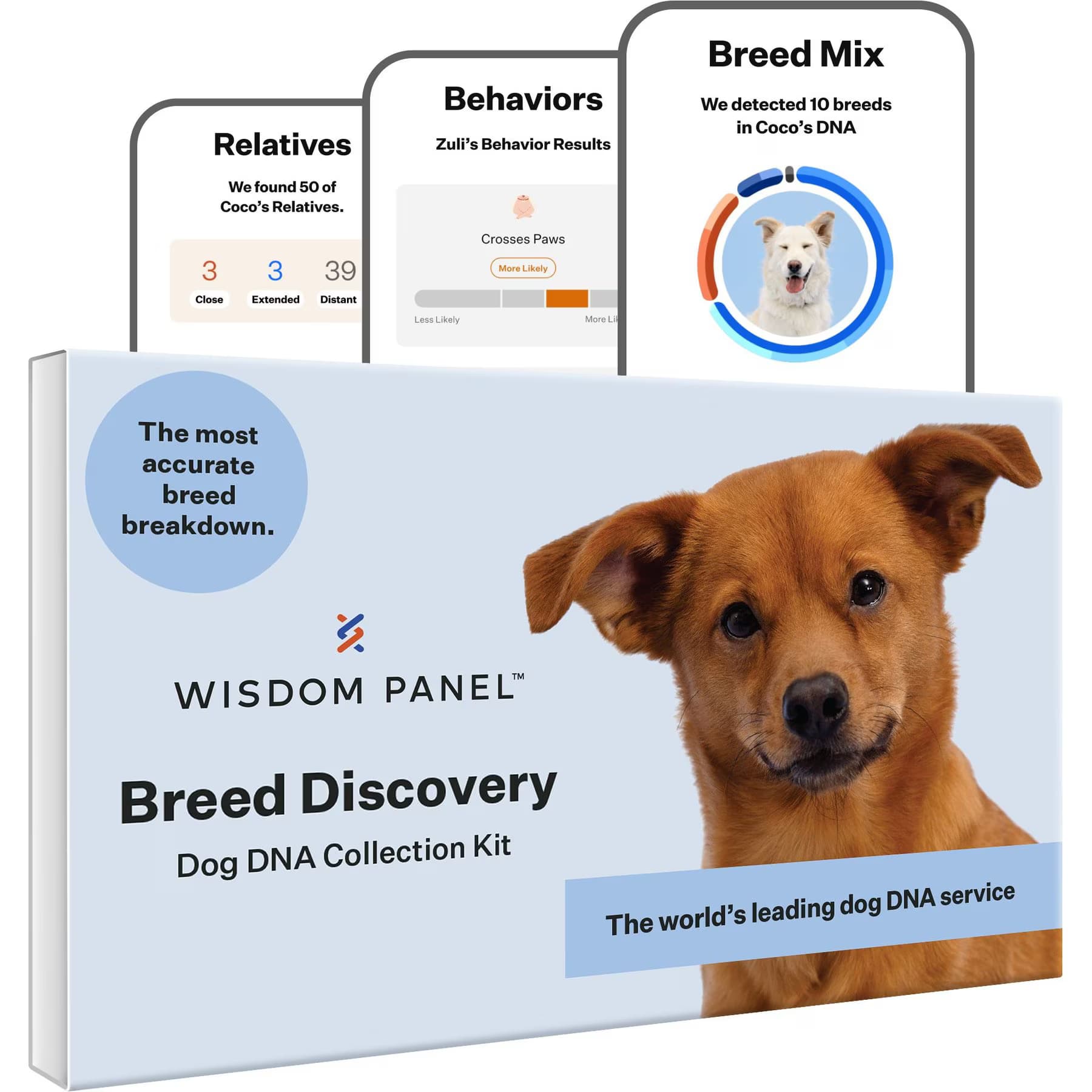 Wisdom Panel Wisdom Panel Breed Discovery Breed Identification DNA Test for Dogs — Breed Insights