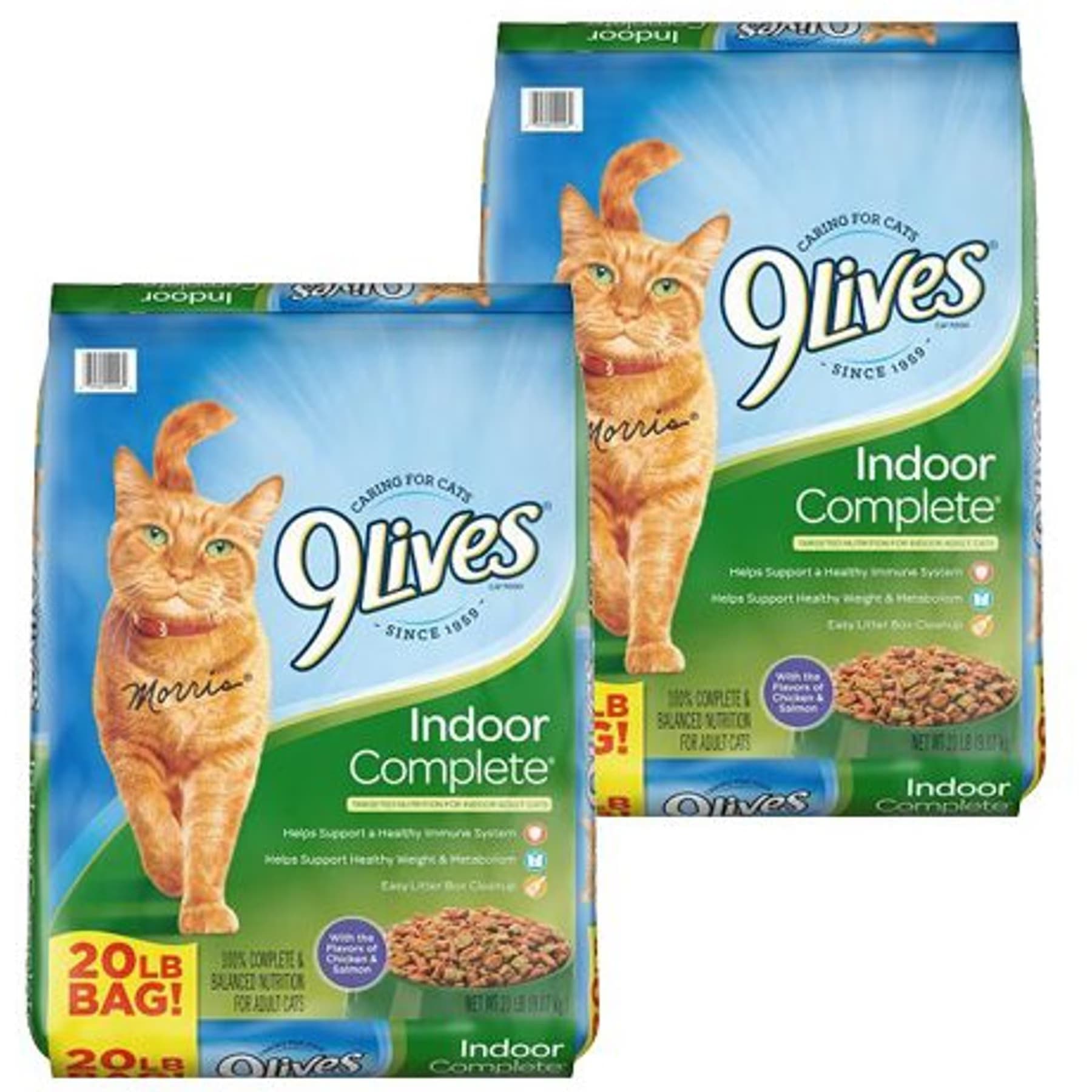 9 Lives 9 Lives Indoor Complete with Chicken & Salmon Flavor Dry Cat Food