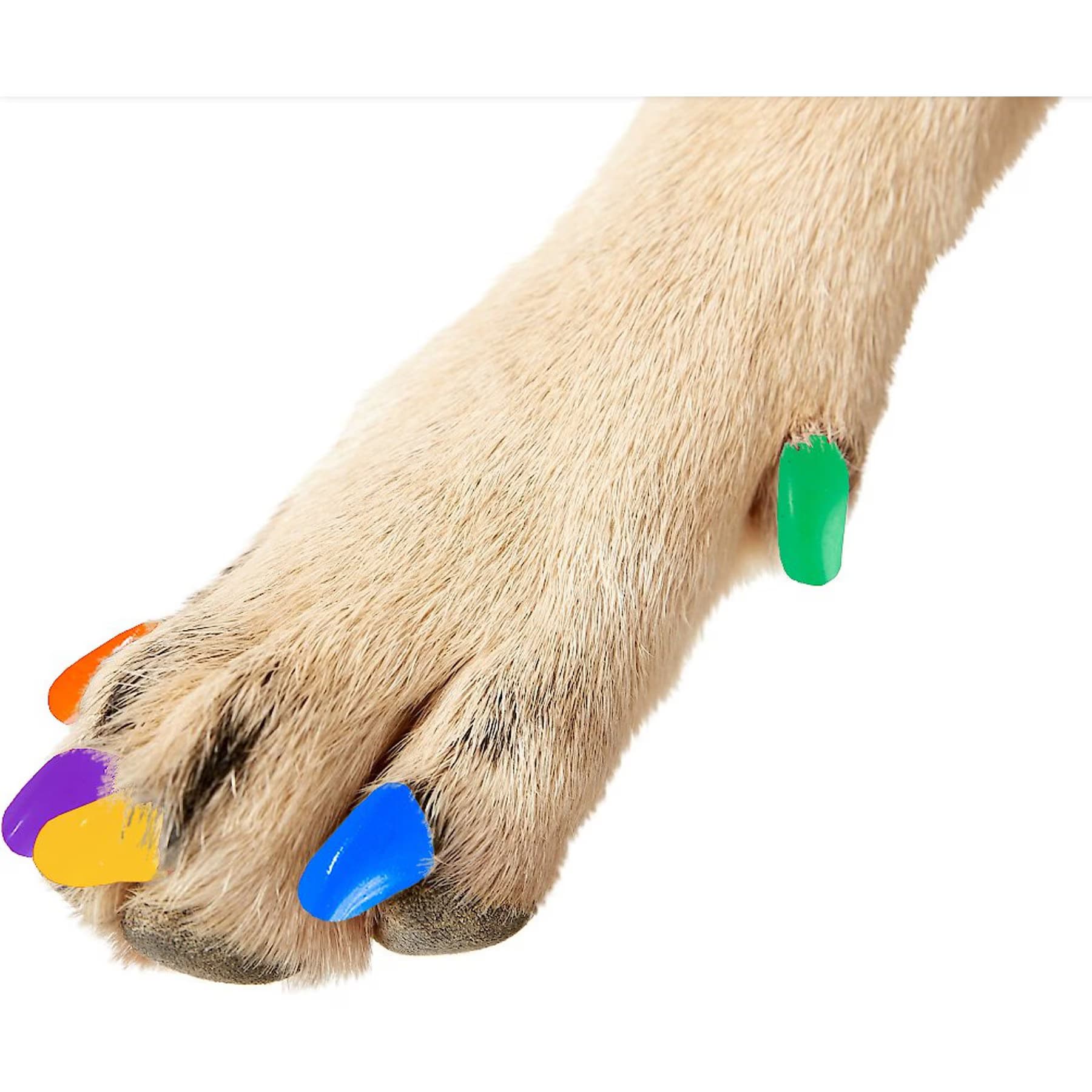 Purrdy Paws Soft Dog Nail Caps, Rainbow, XX-Large — view 3