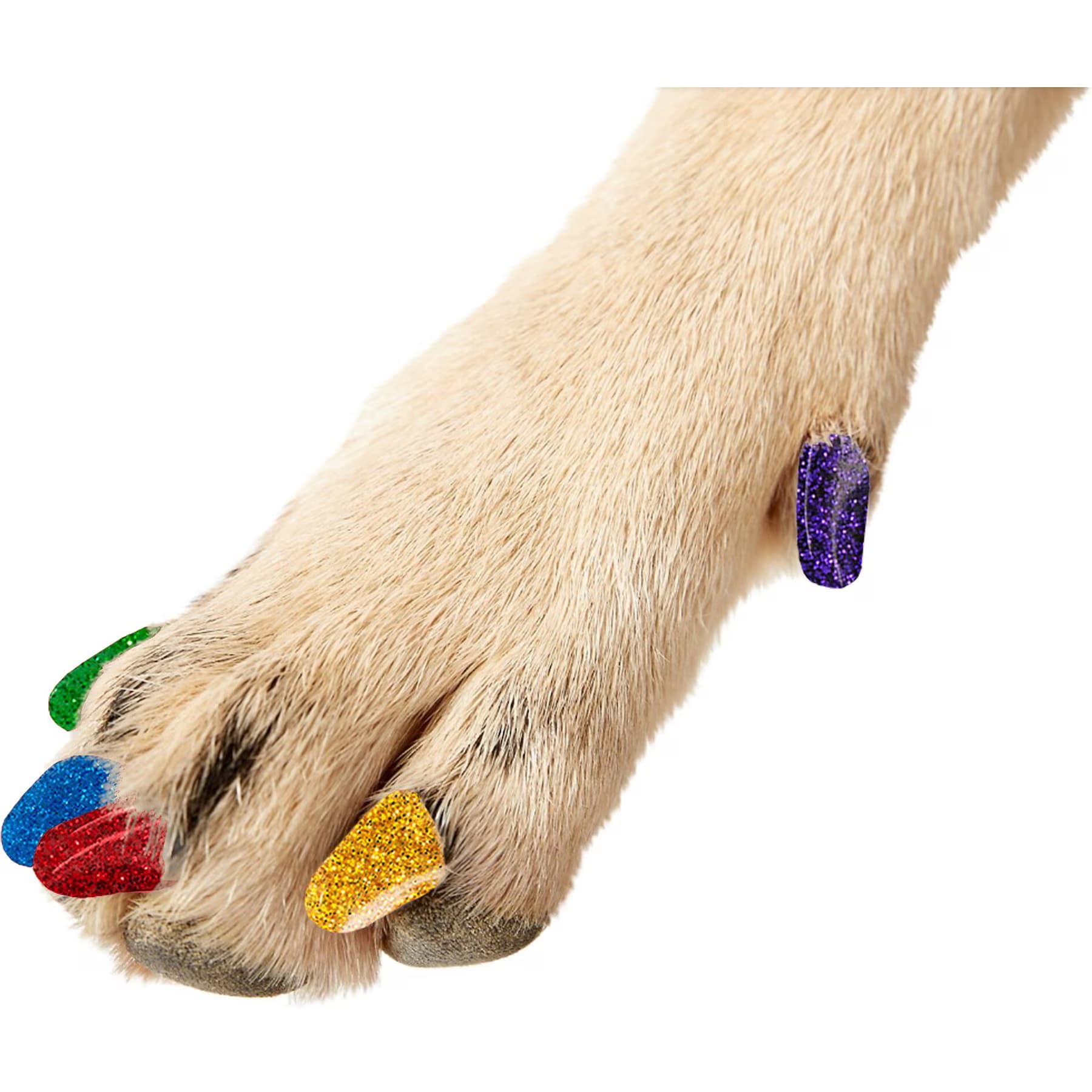 Purrdy Paws Rainbow Glitter Soft Dog Nail Caps — view 8