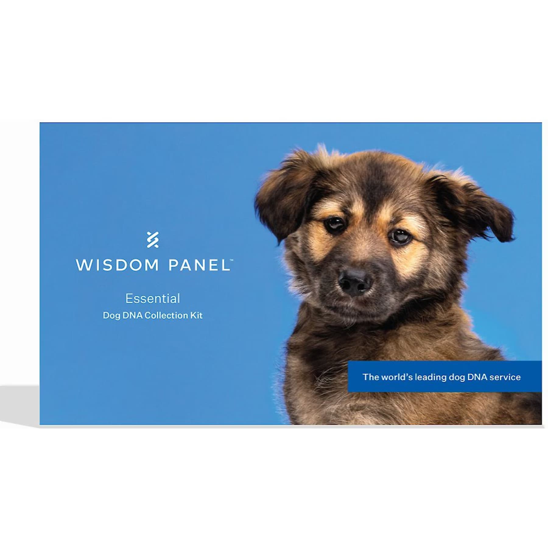 Wisdom Panel Wisdom Panel Essential Breed Identification DNA Test for Dogs — Breed + Health Insights